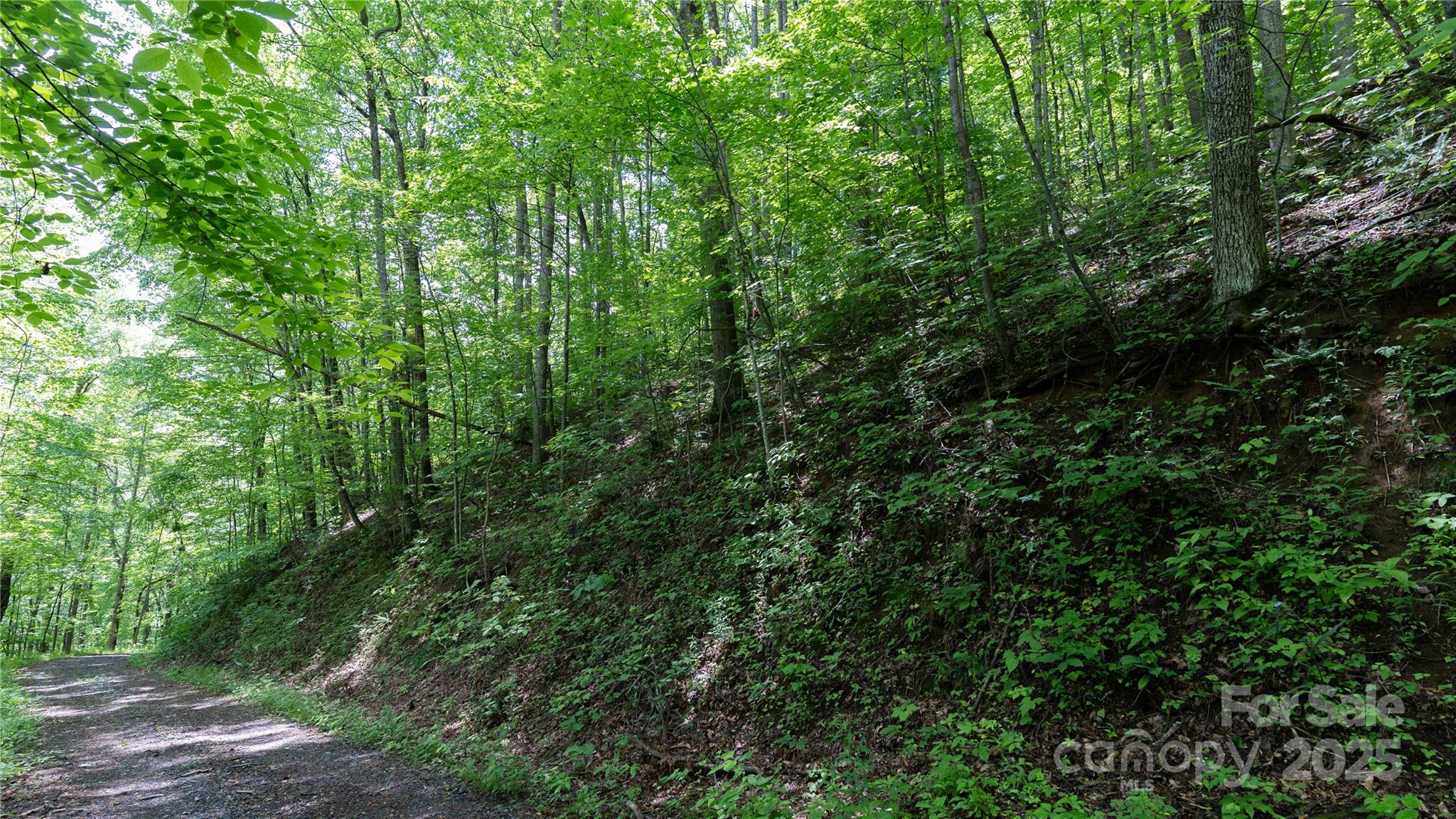 000 Roaring Creek Lane Property Photo 4
