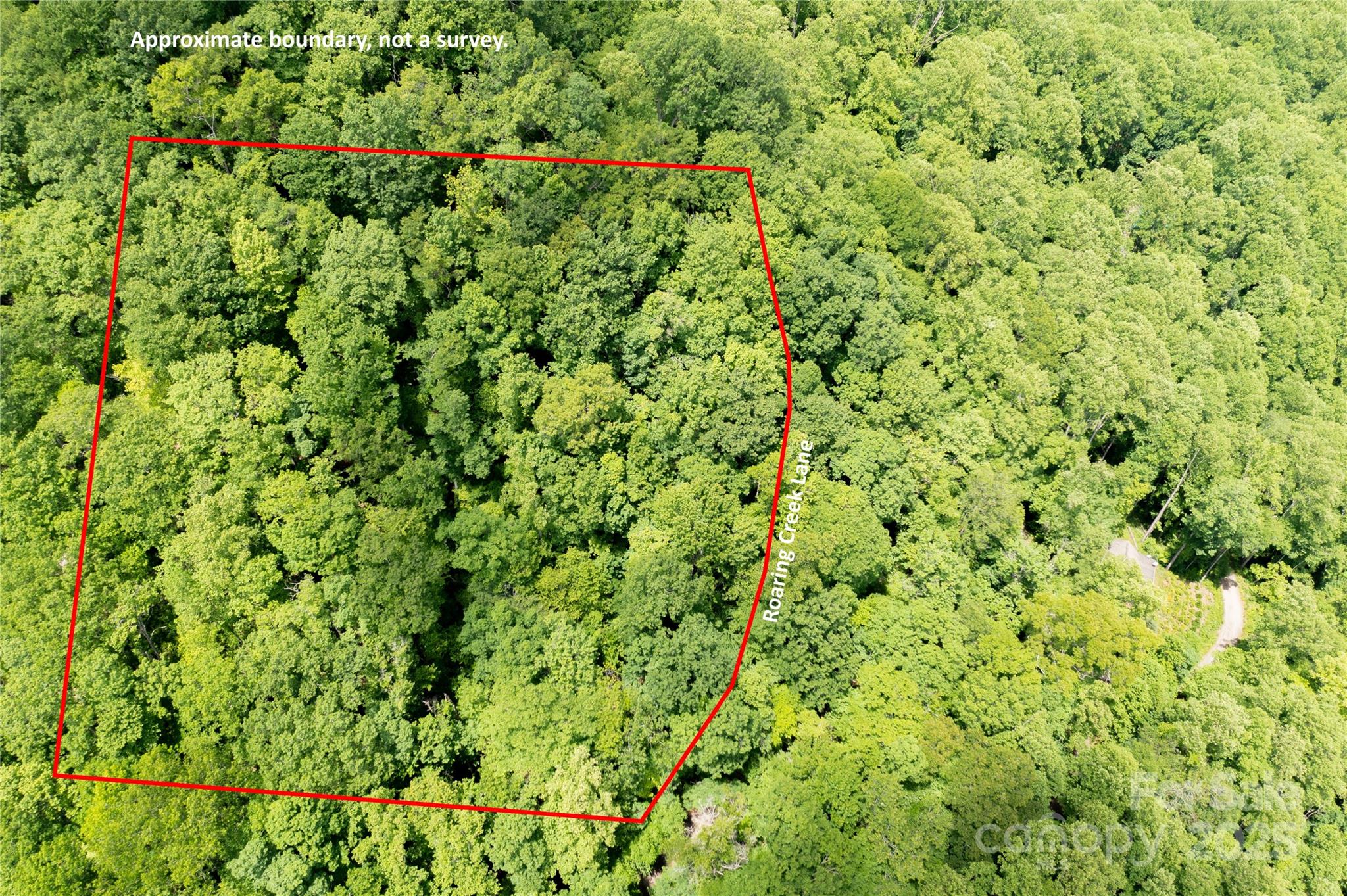 000 Roaring Creek Lane Property Photo 7