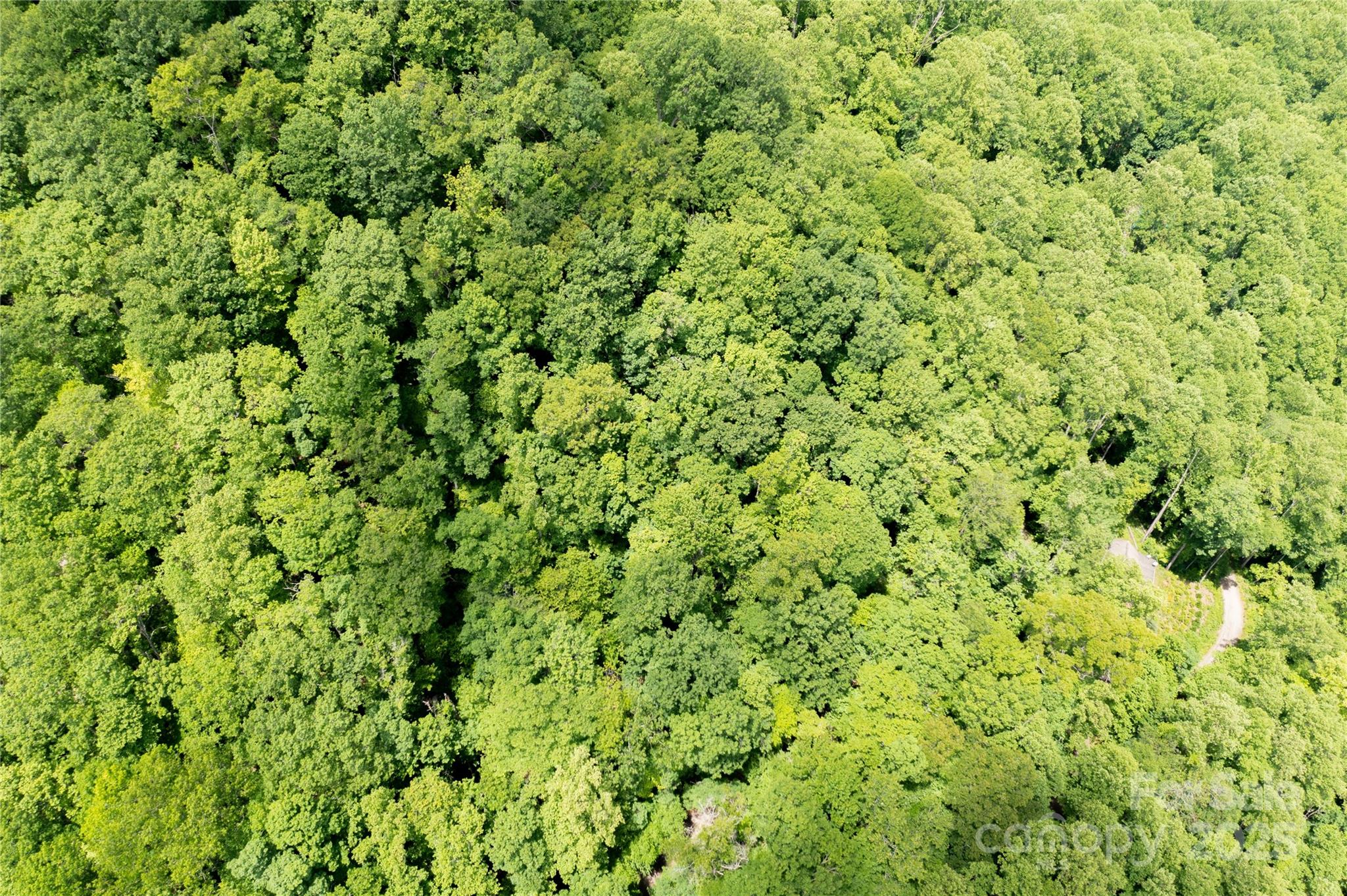 000 Roaring Creek Lane Property Photo 8