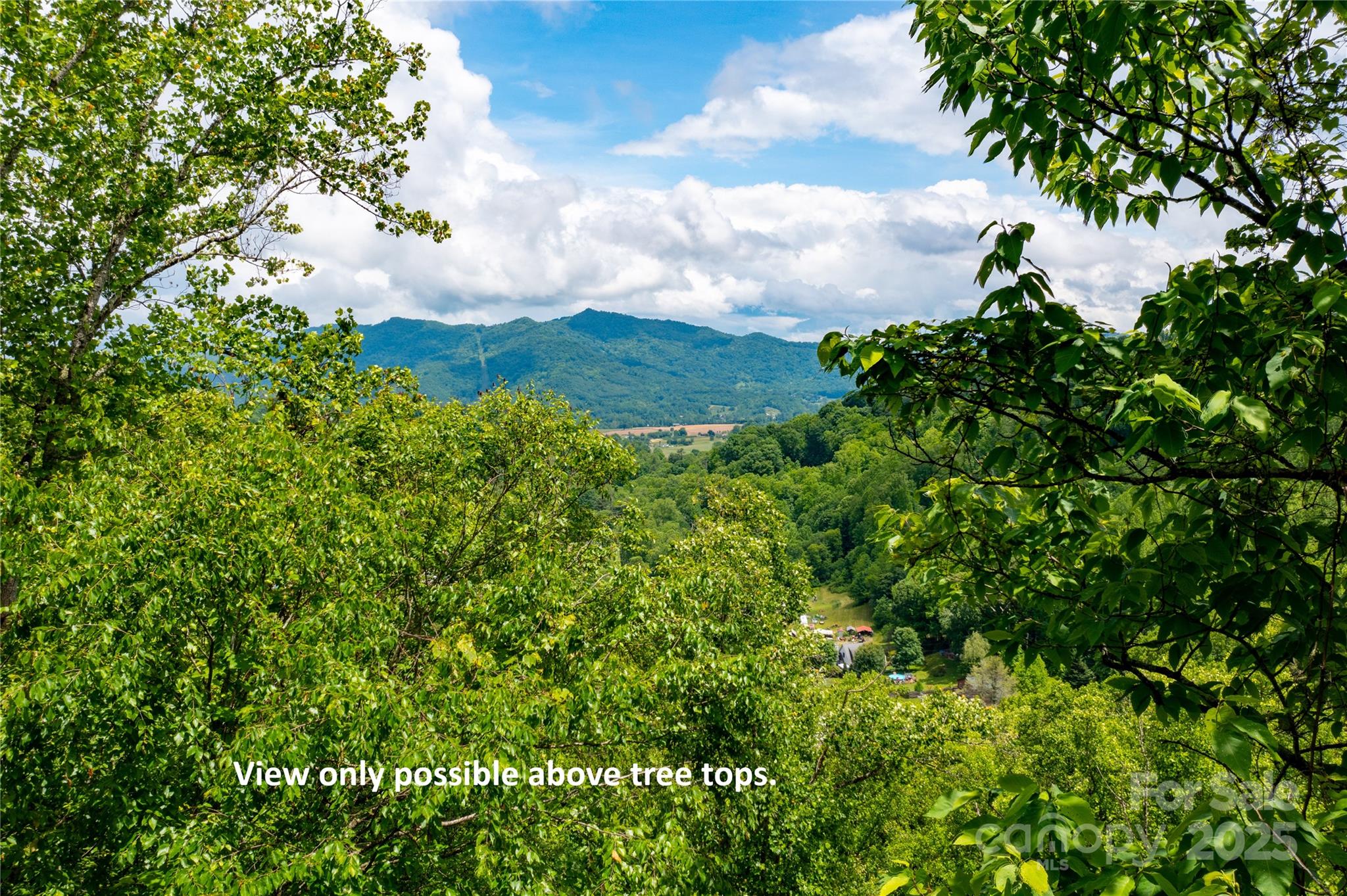000 Roaring Creek Lane Property Photo 9