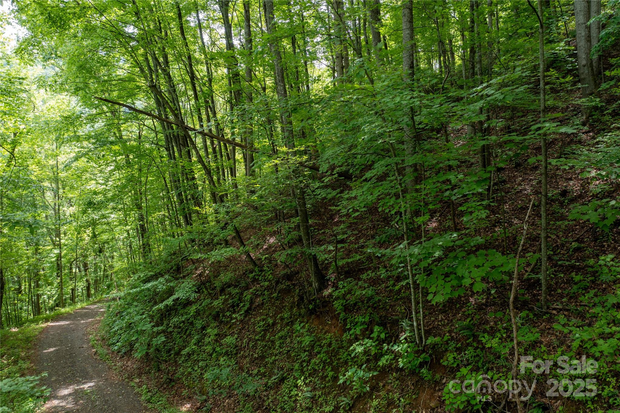 000 Roaring Creek Lane Property Photo 10