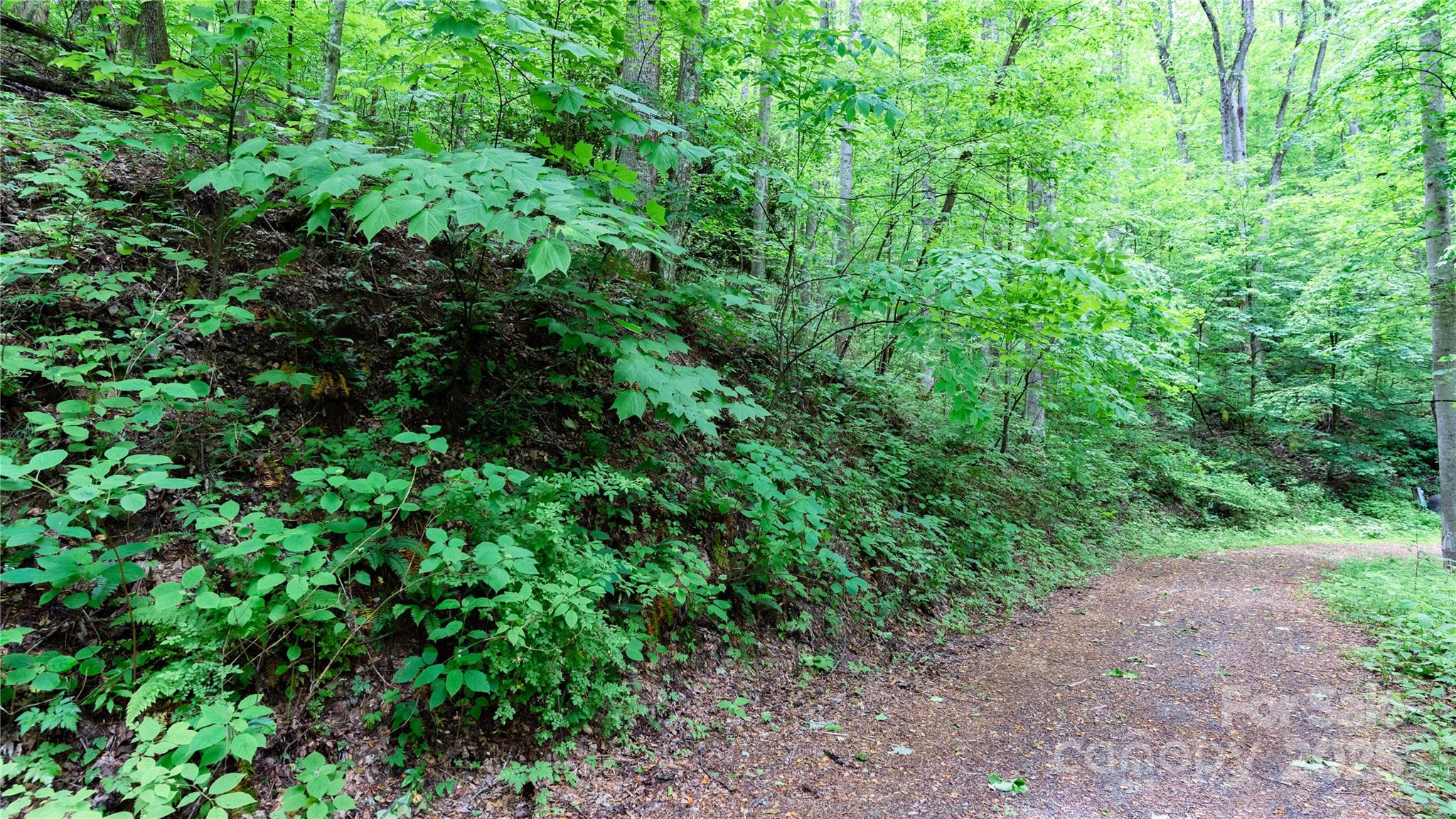 000 Roaring Creek Lane Property Photo 11