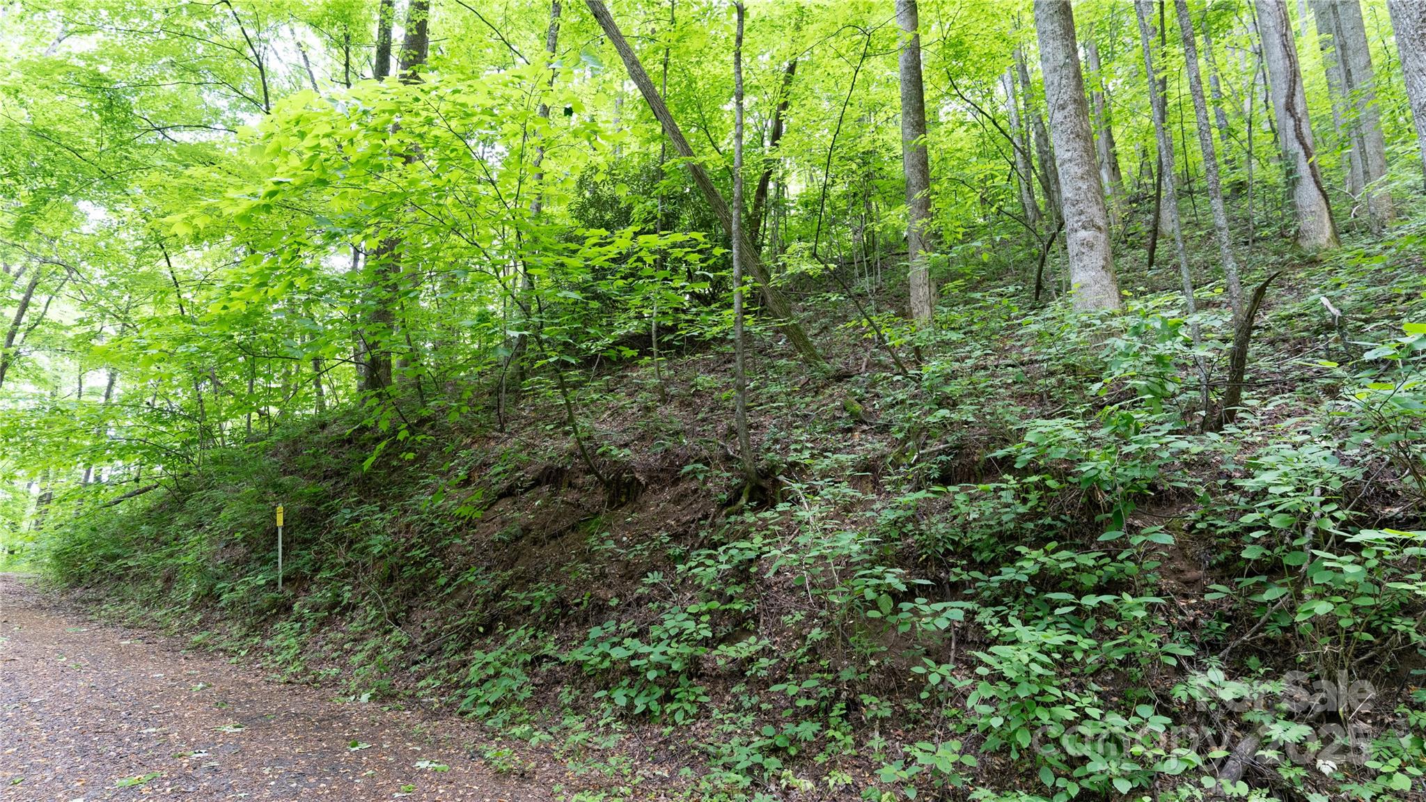 000 Roaring Creek Lane Property Photo 13