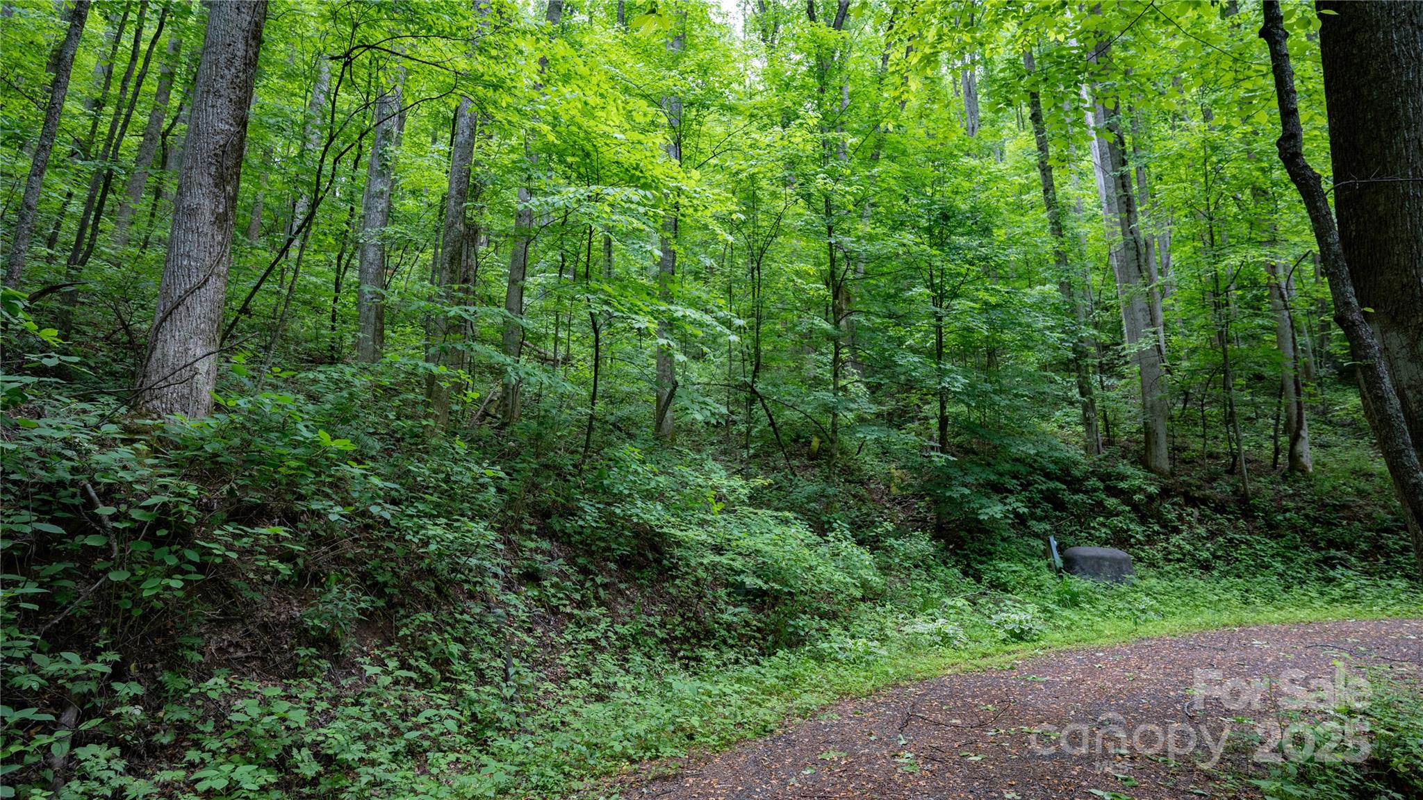 000 Roaring Creek Lane Property Photo 15
