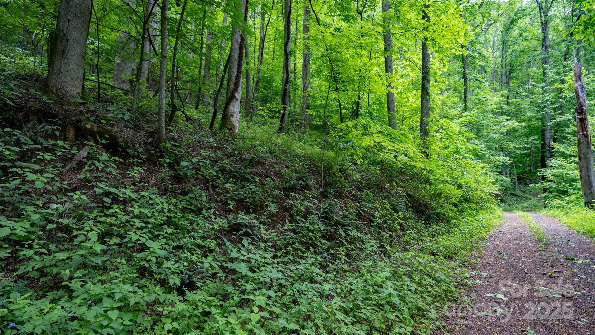 000 Roaring Creek Lane Property Photo 17