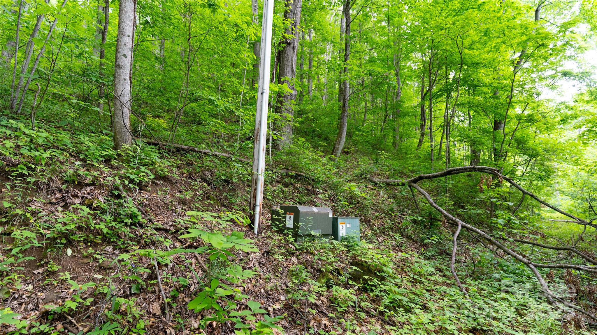 000 Roaring Creek Lane Property Photo 19