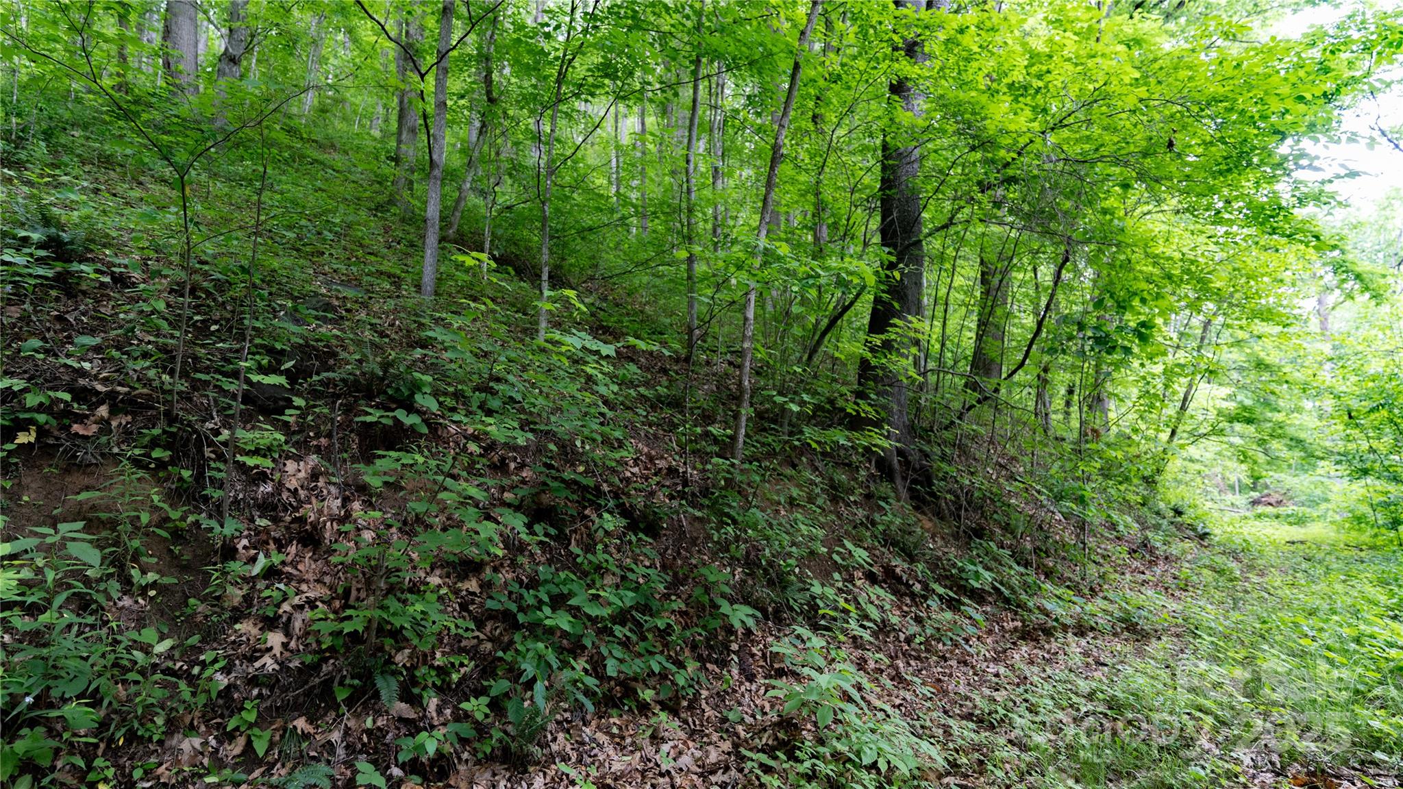 000 Roaring Creek Lane Property Photo 20