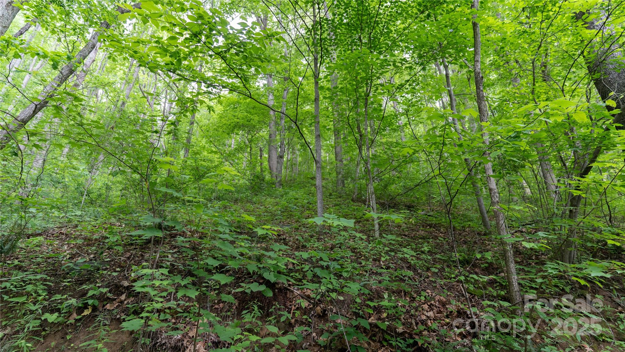 000 Roaring Creek Lane Property Photo 21