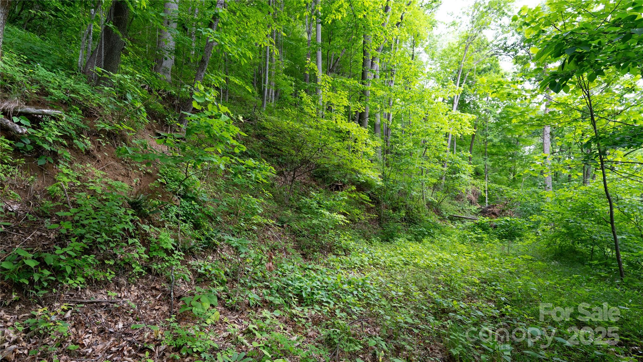 000 Roaring Creek Lane Property Photo 22