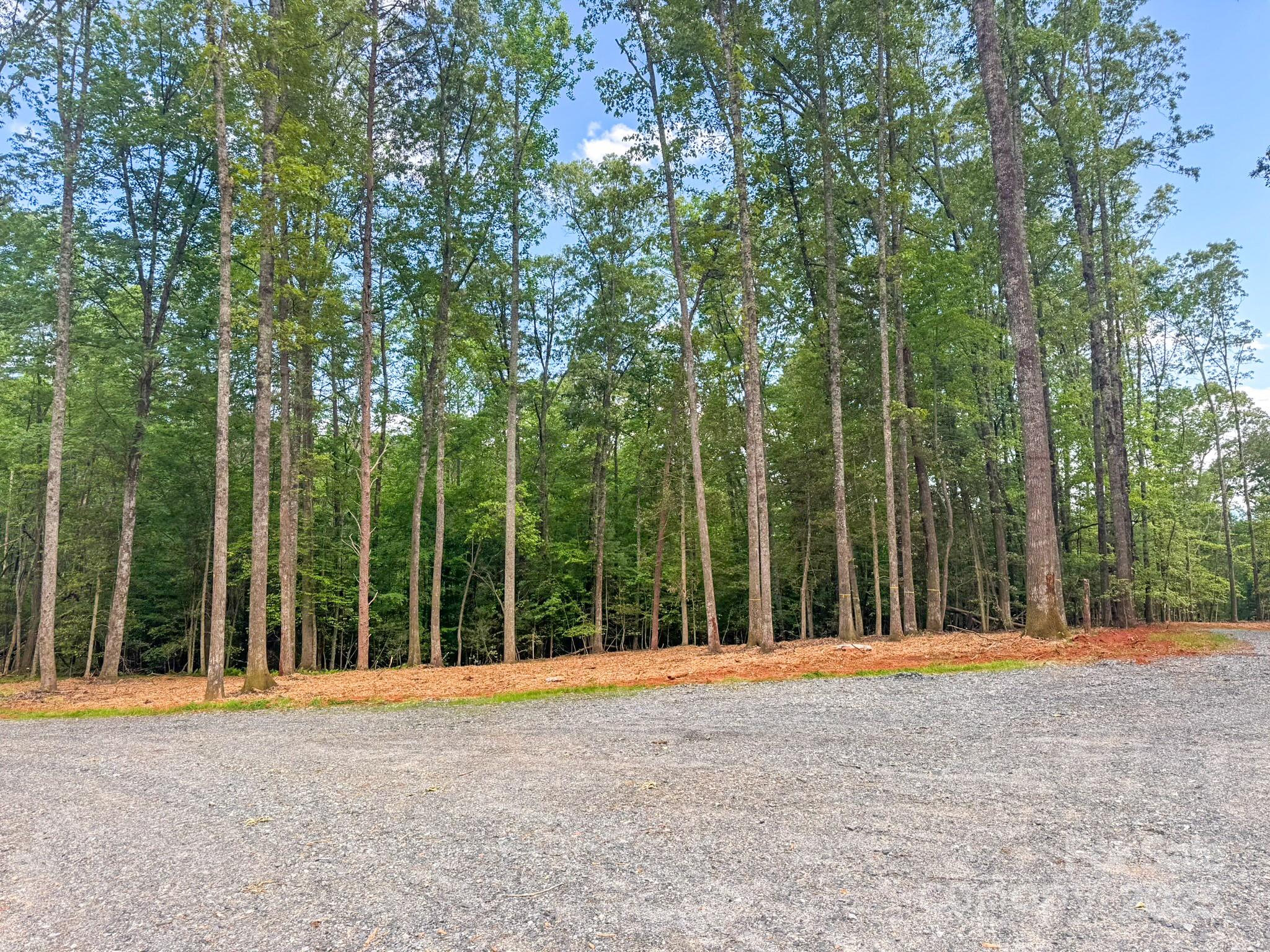20 Nature Walk Lane Property Photo 5