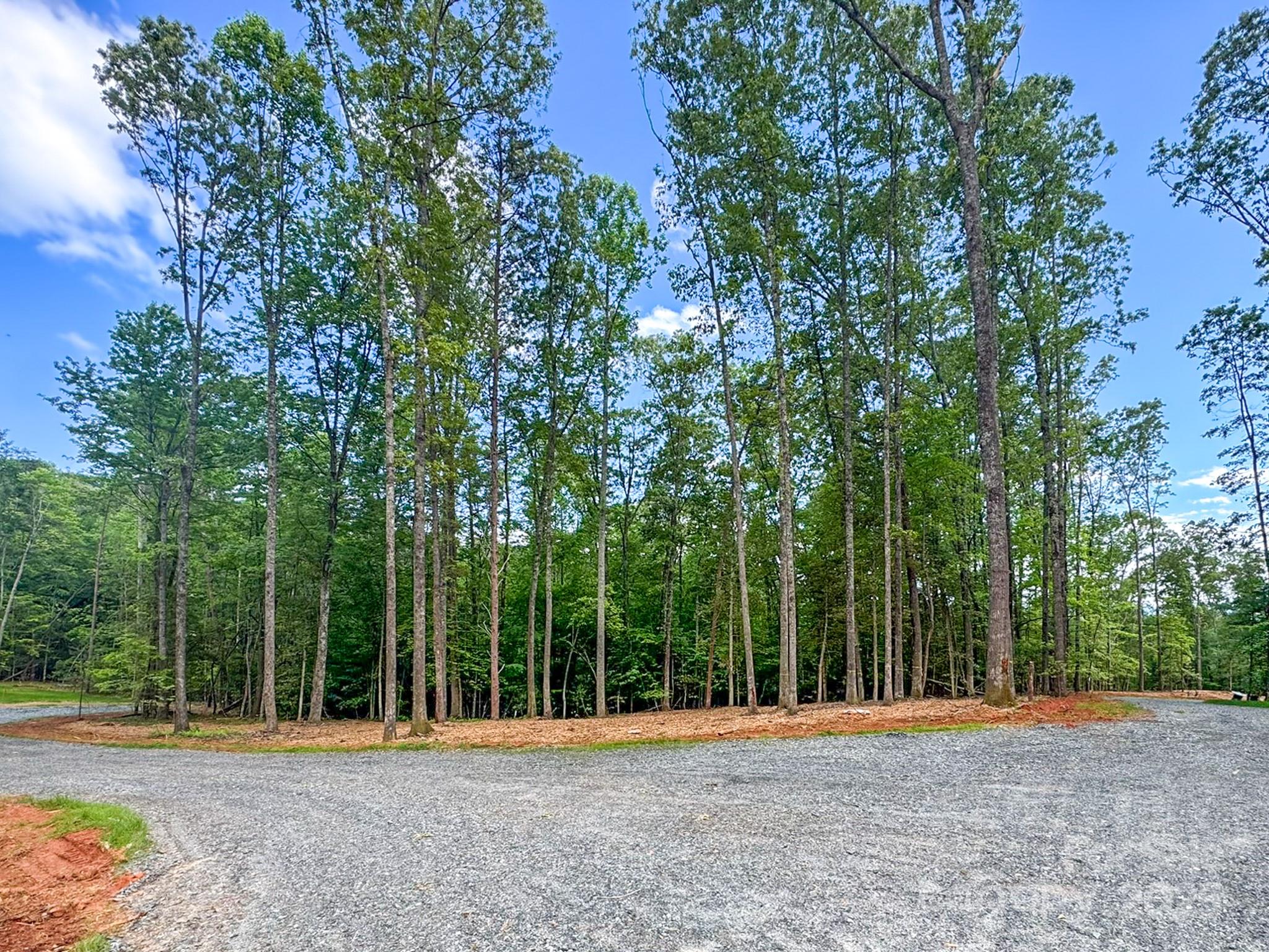 20 Nature Walk Lane Property Photo 6