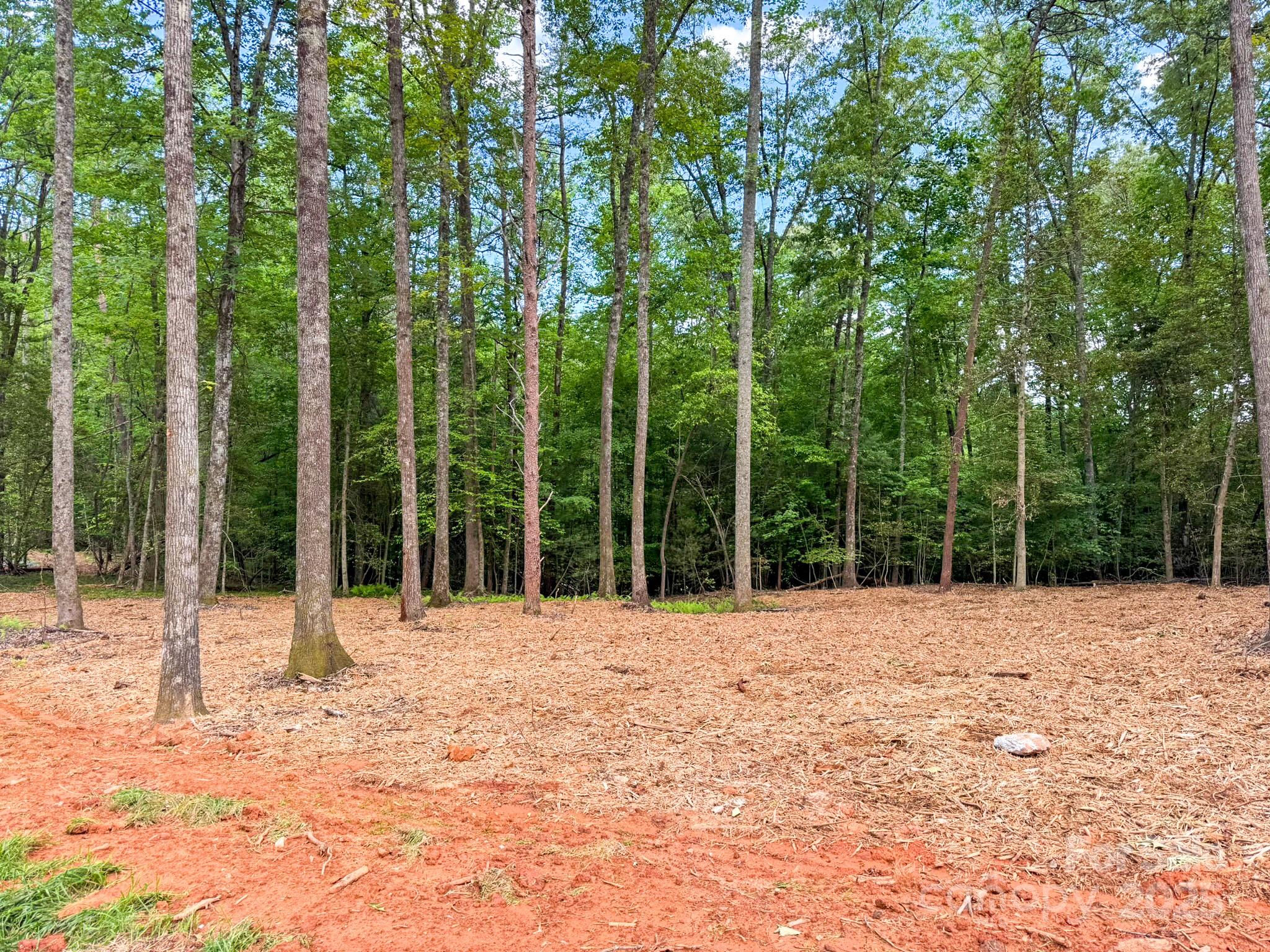 20 Nature Walk Lane Property Photo 9