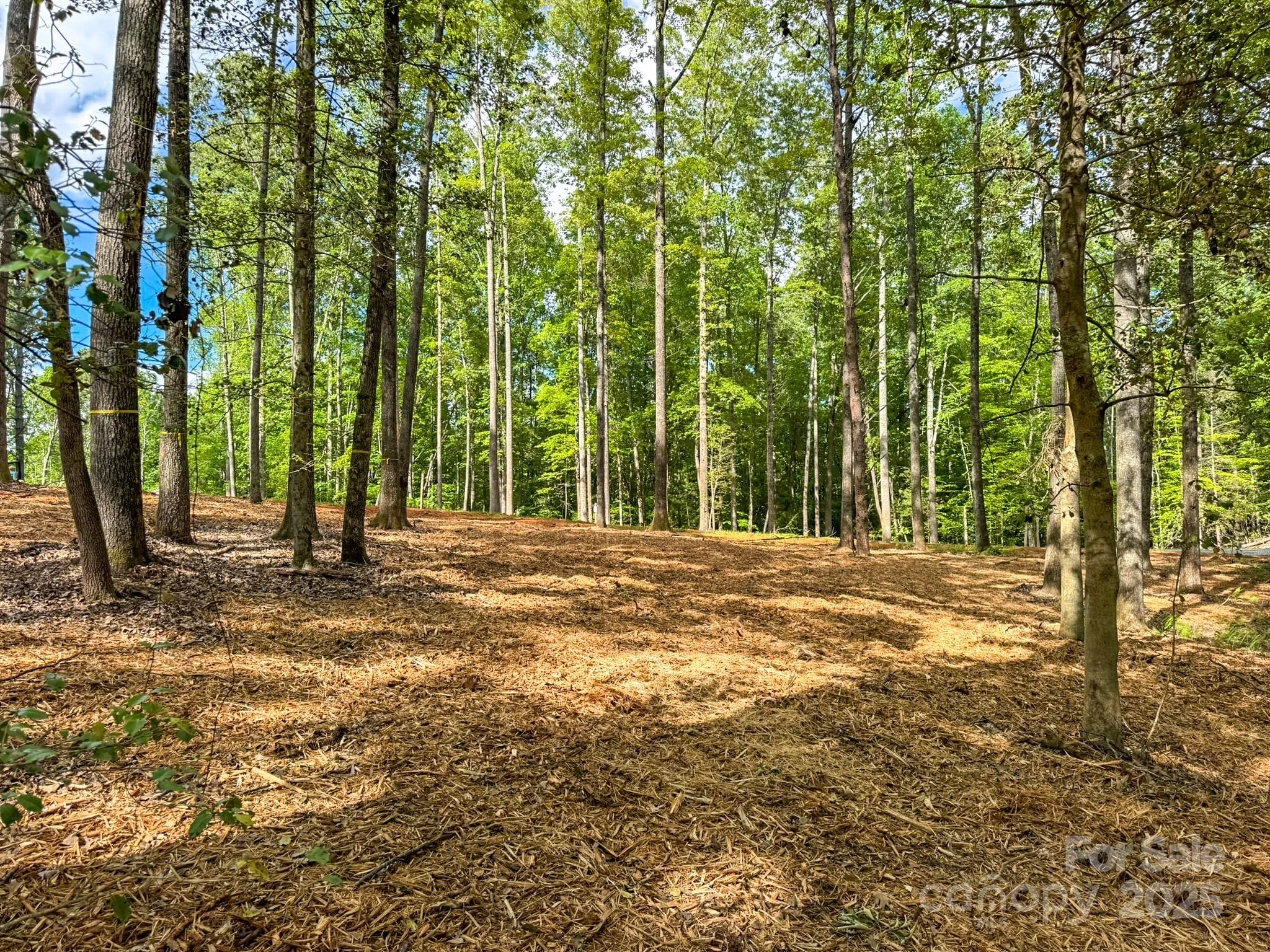 20 Nature Walk Lane Property Photo 13