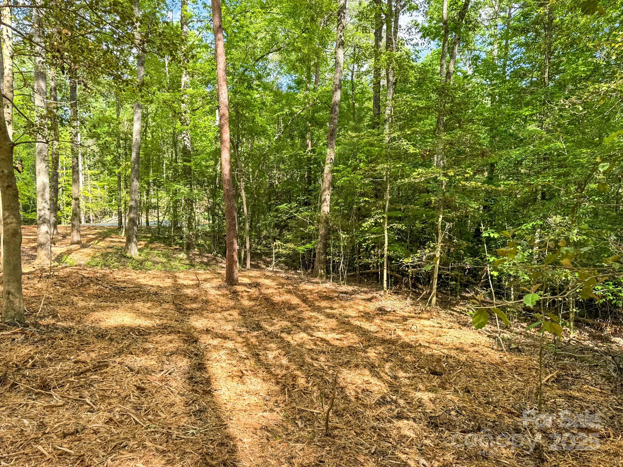 20 Nature Walk Lane Property Photo 14