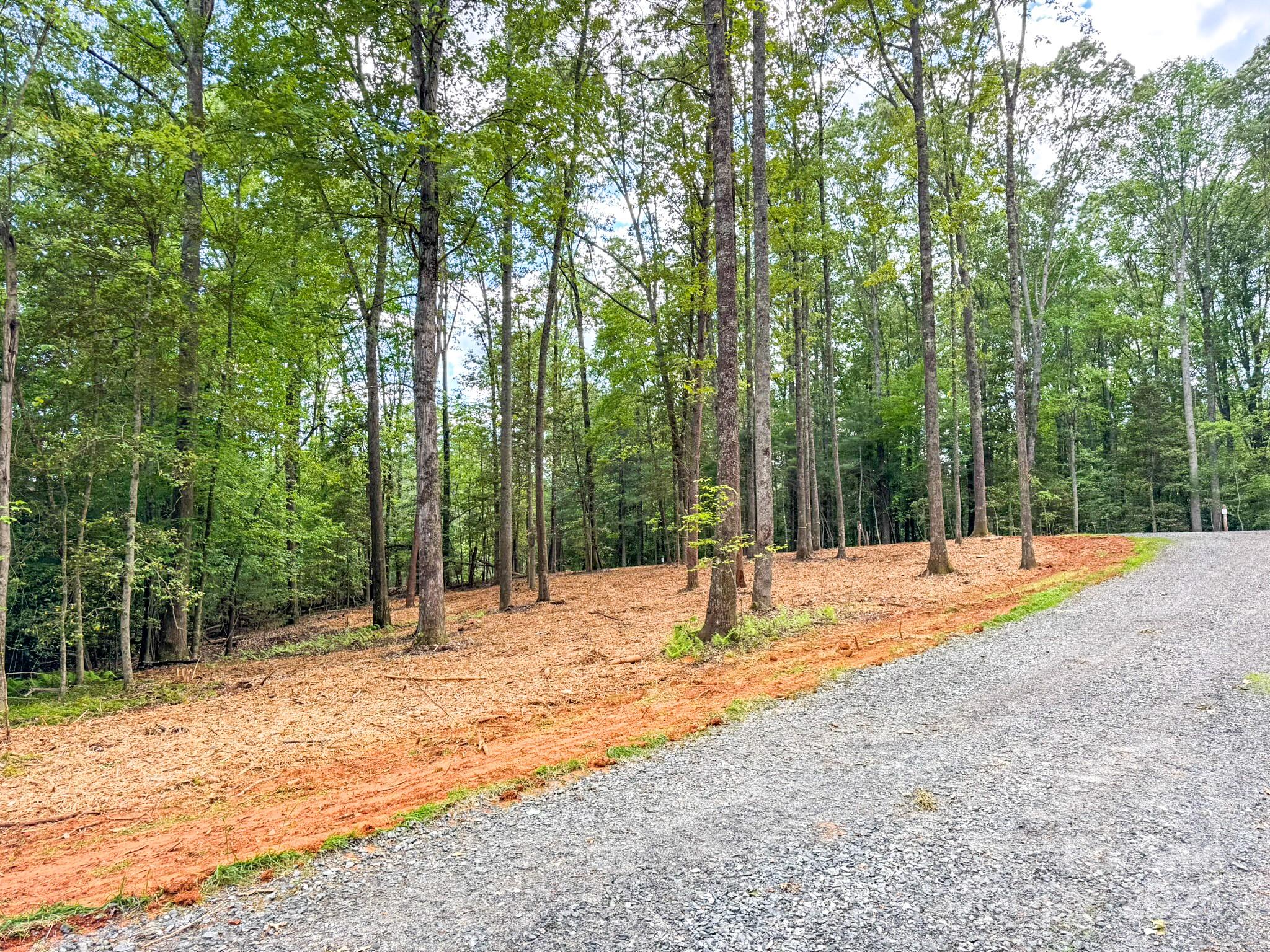 20 Nature Walk Lane Property Photo 19