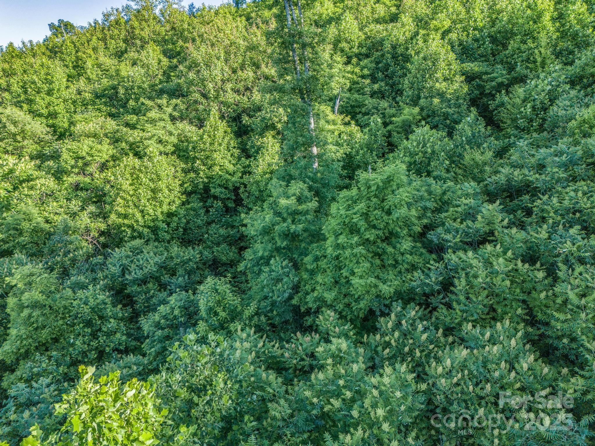 00 H And H Trail Property Photo 6