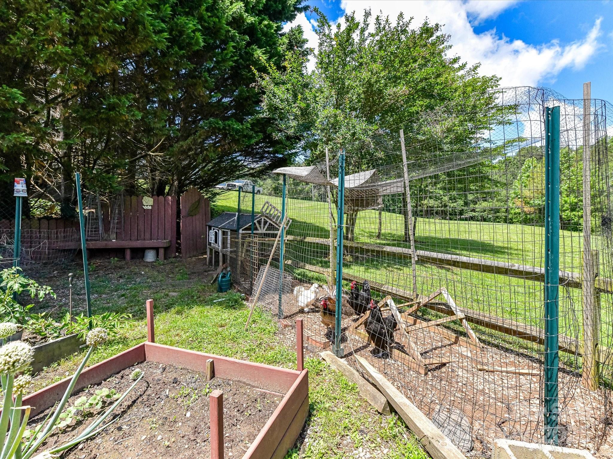 2325 Perry Road Property Photo 41