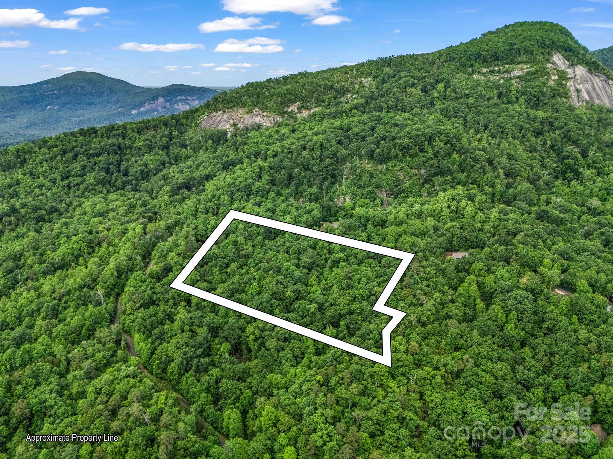 176 High Road Court Property Photo 4