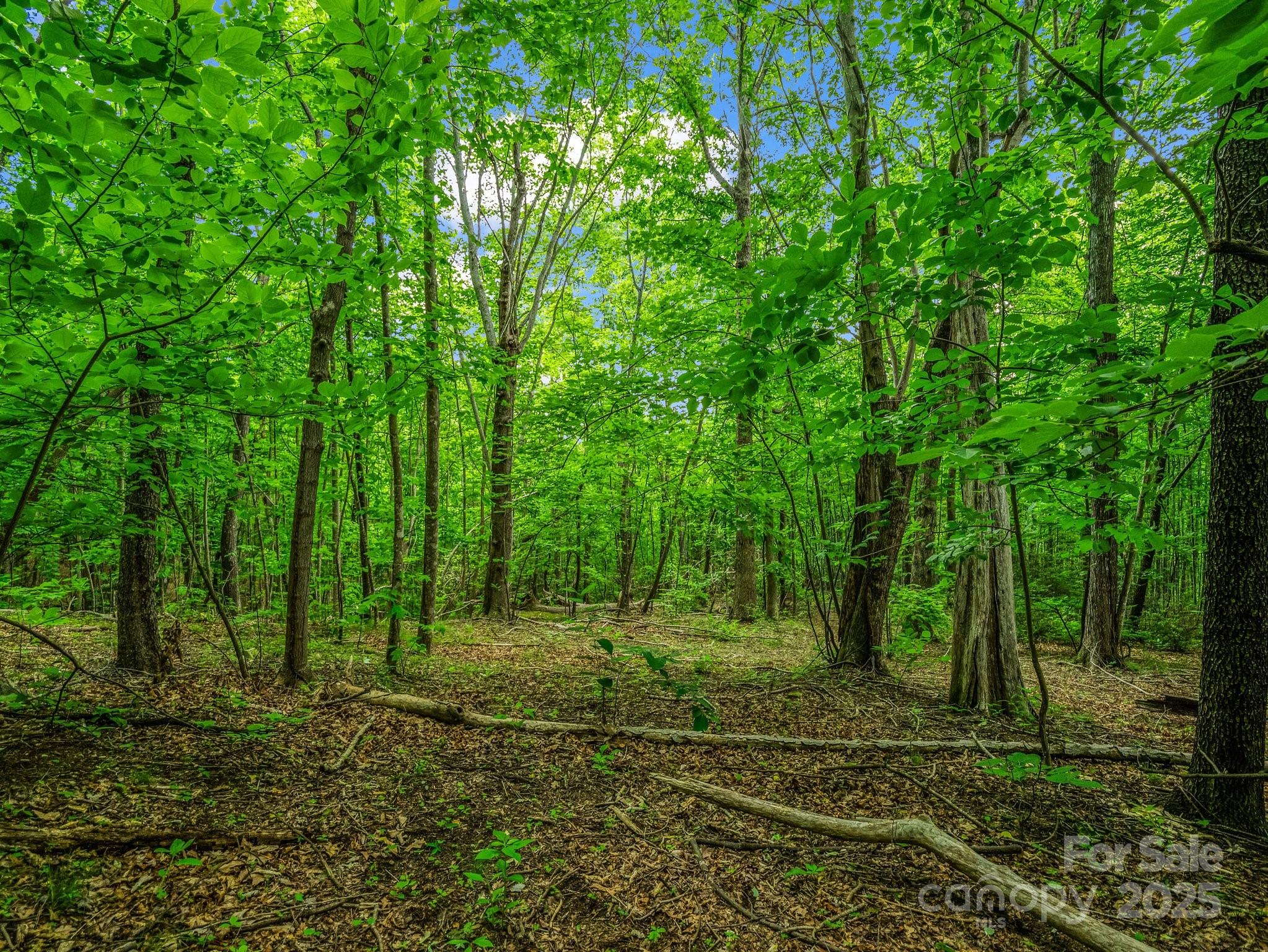 176 High Road Court Property Photo 5