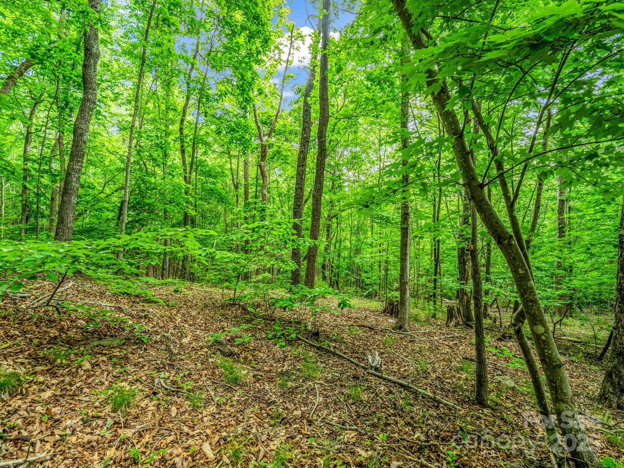 176 High Road Court Property Photo 6