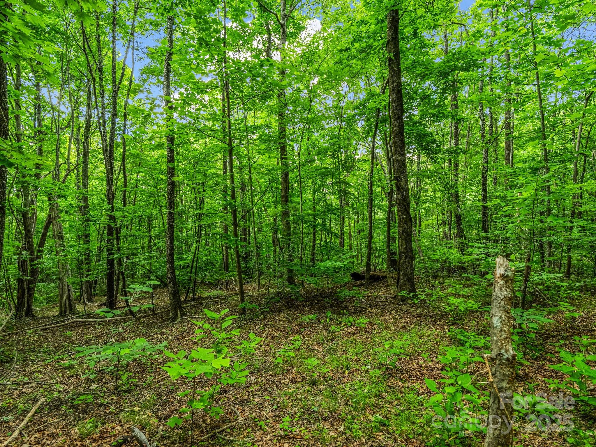 176 High Road Court Property Photo 7