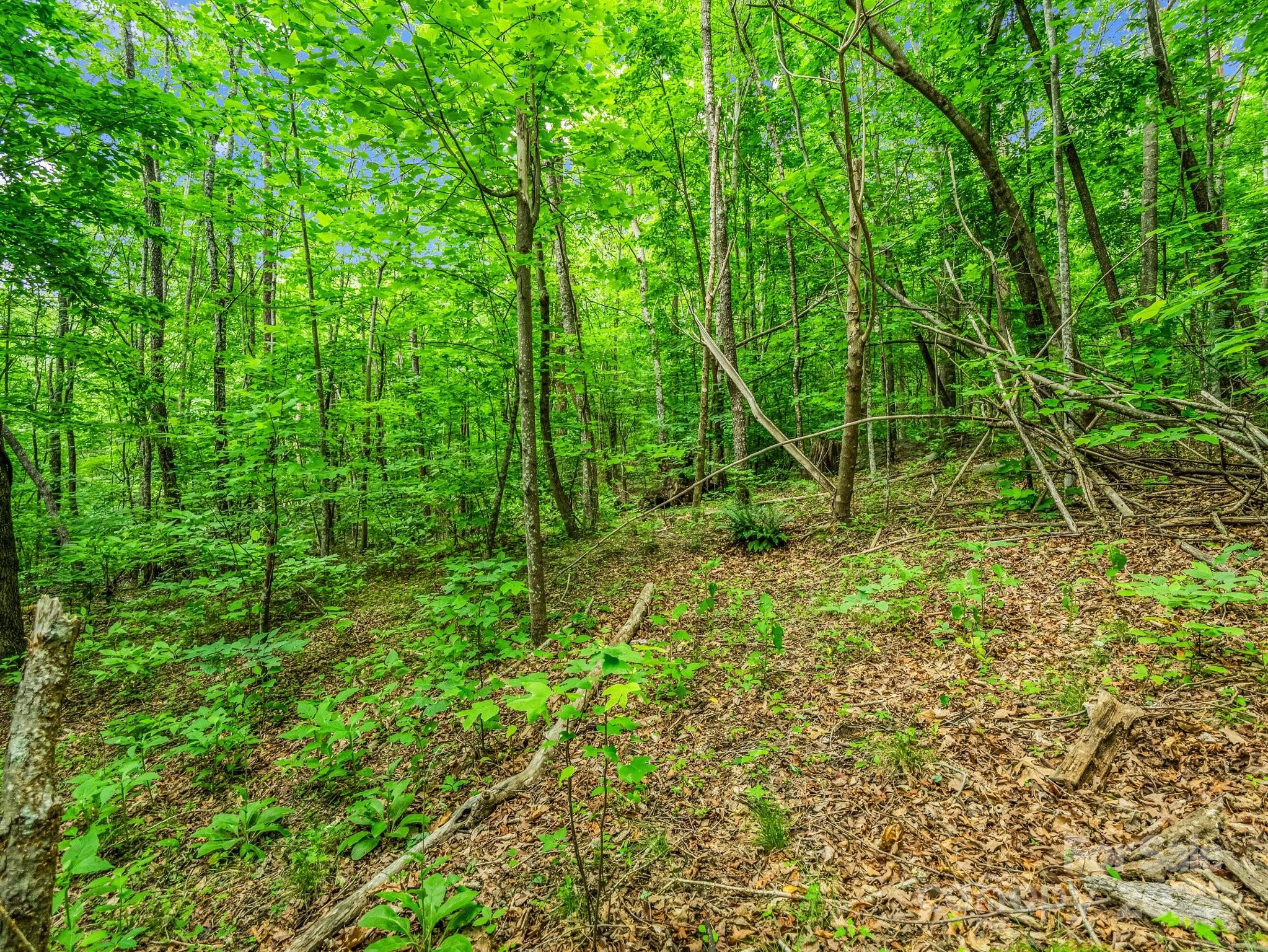 176 High Road Court Property Photo 8