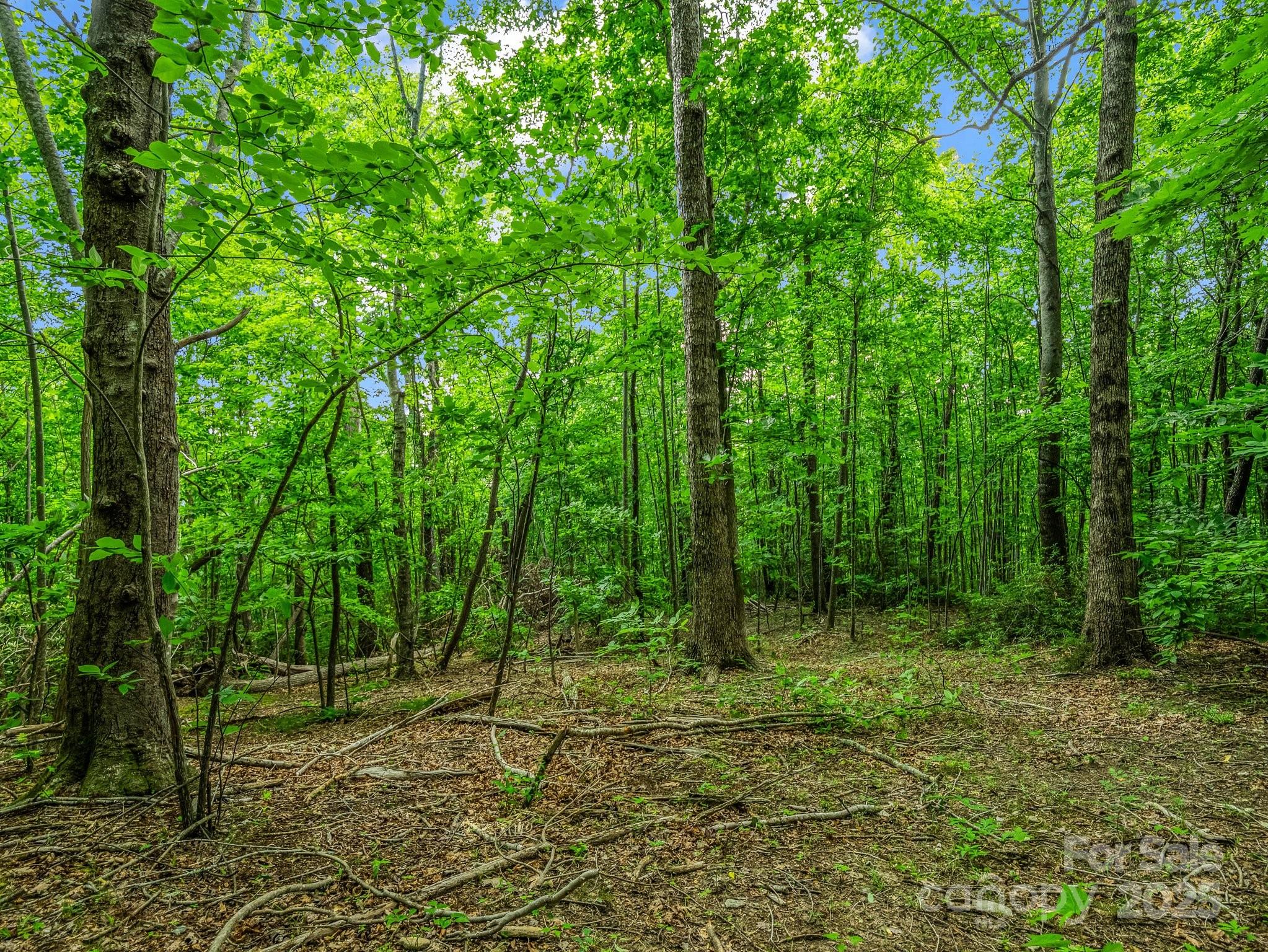 176 High Road Court Property Photo 9