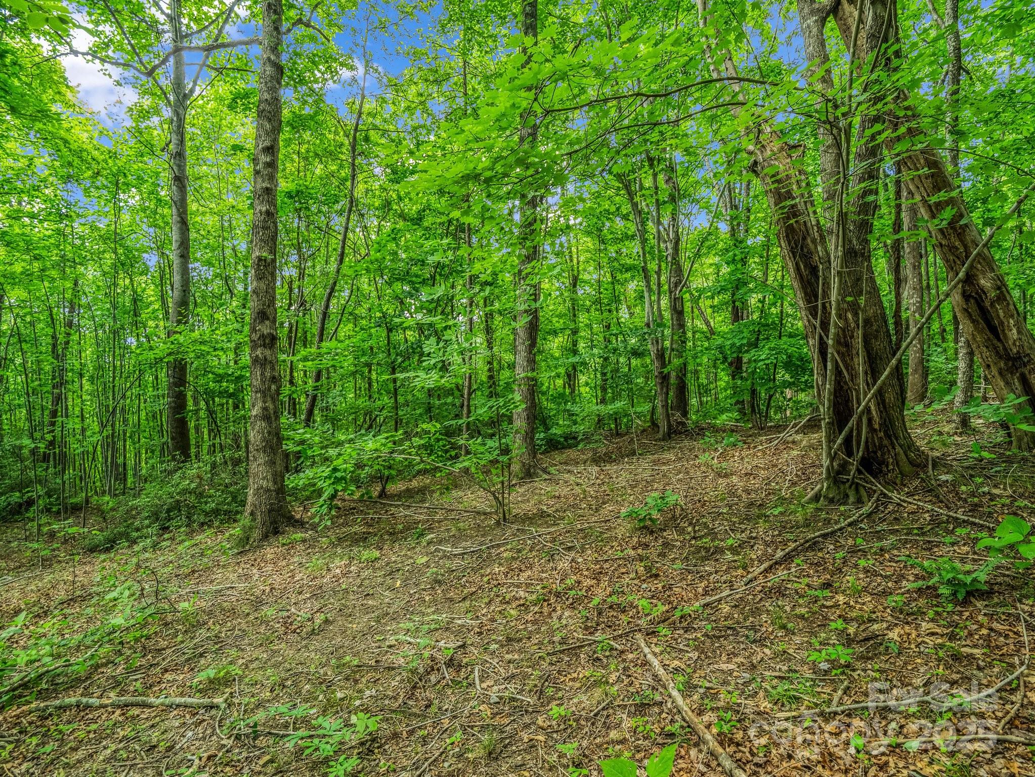 176 High Road Court Property Photo 10