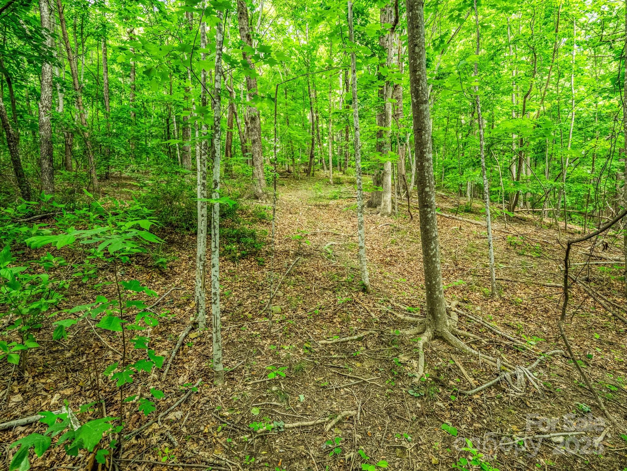 176 High Road Court Property Photo 11