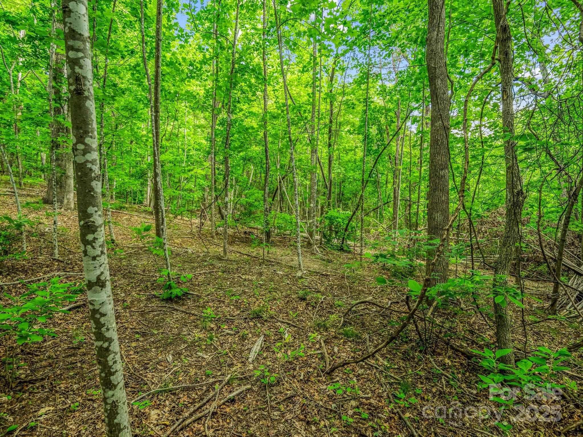 176 High Road Court Property Photo 13