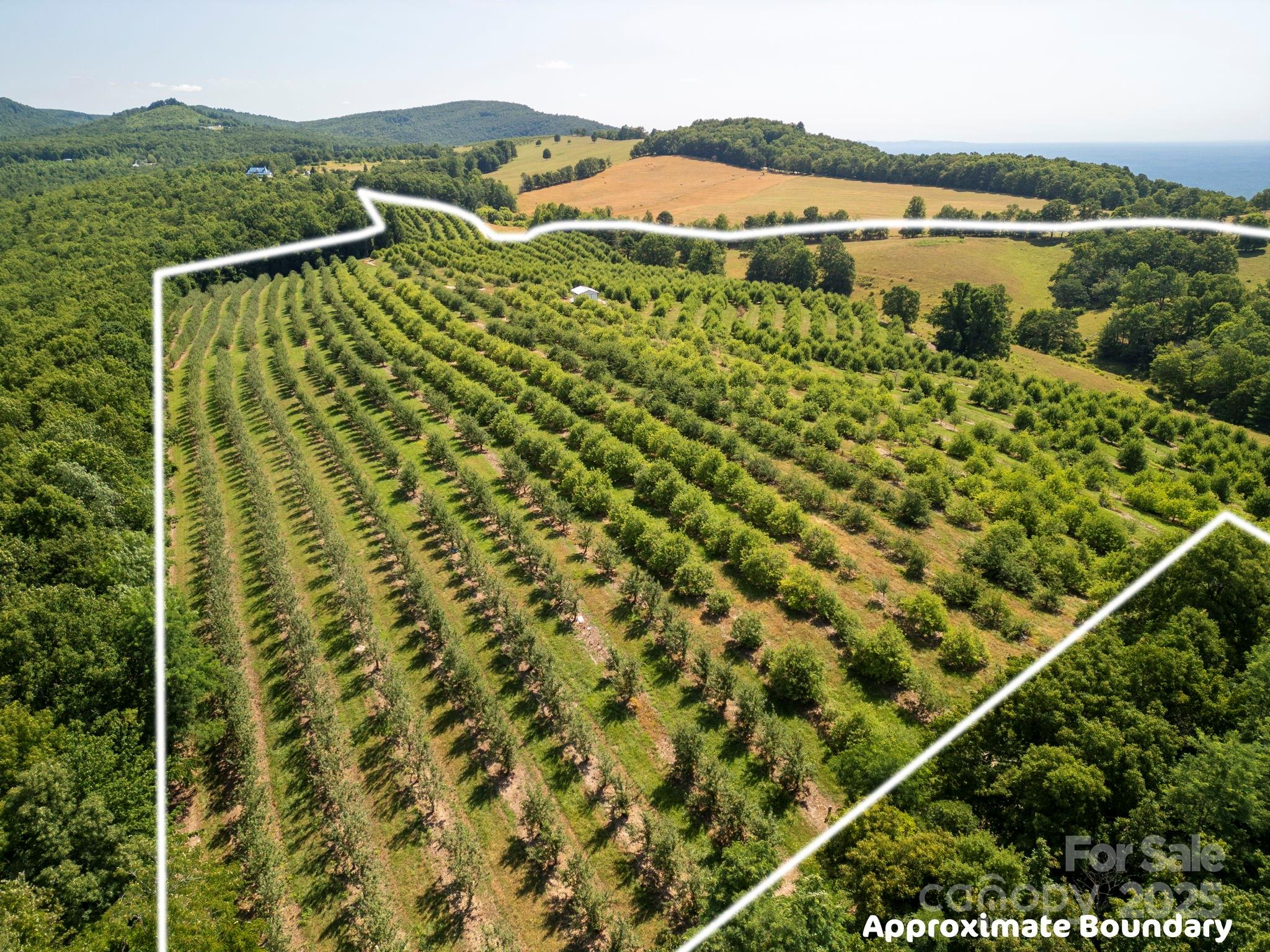 Sr1713 Summer Road Property Photo 2