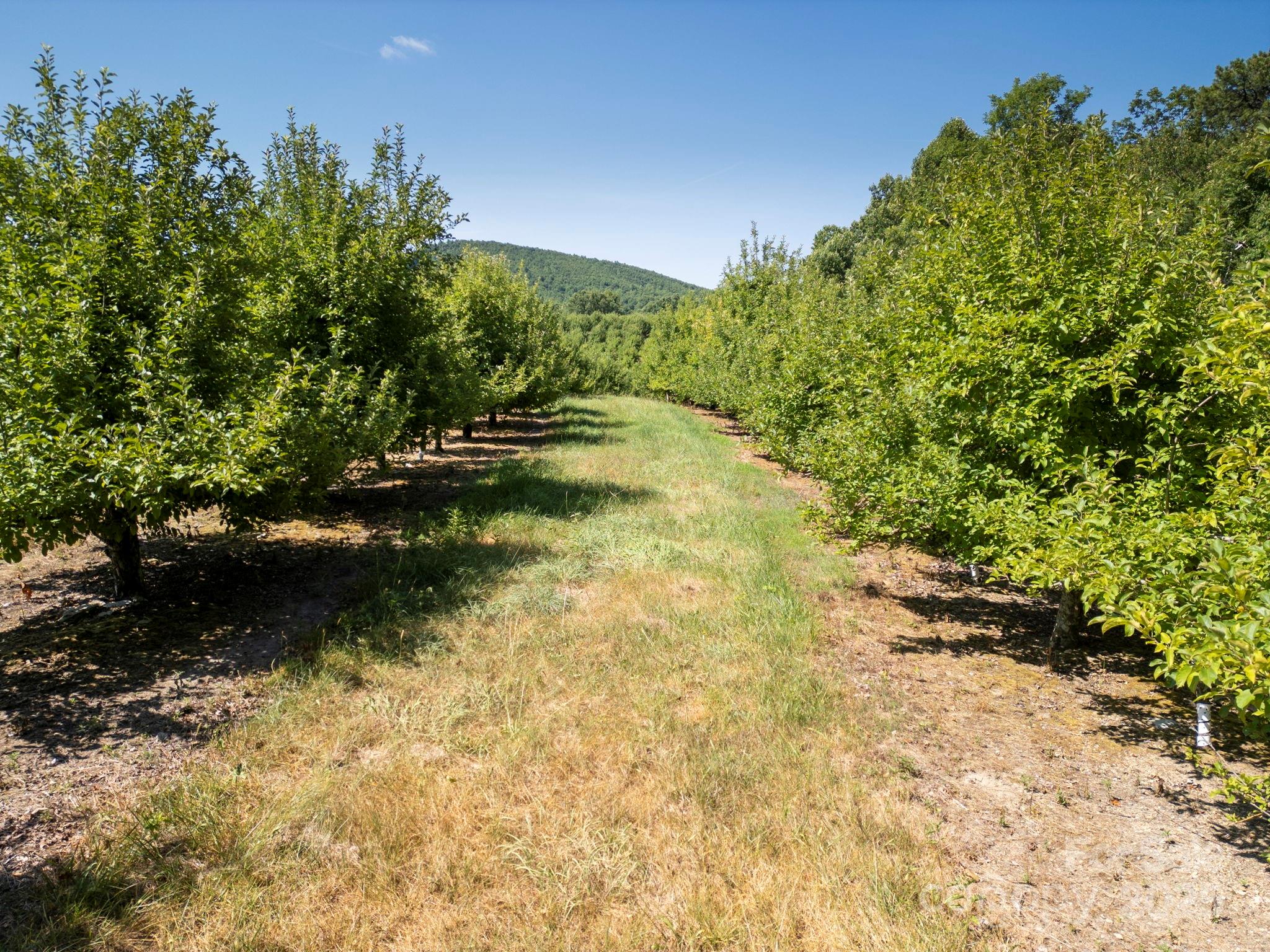 Sr1713 Summer Road Property Photo 5