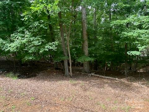 0 Woodrun Drive Property Photo 1