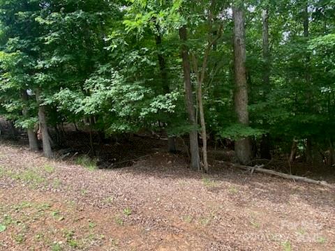 0 Woodrun Drive Property Photo 2