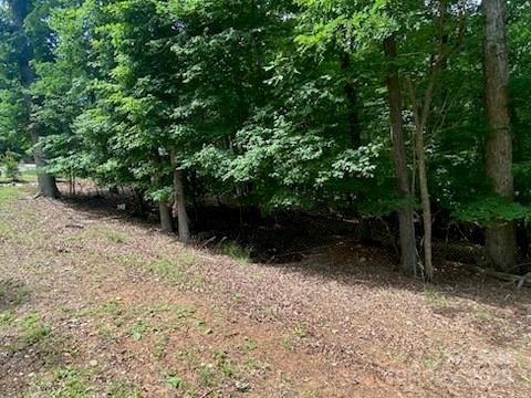 0 Woodrun Drive Property Photo 3