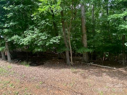 0 Woodrun Drive Property Photo 4