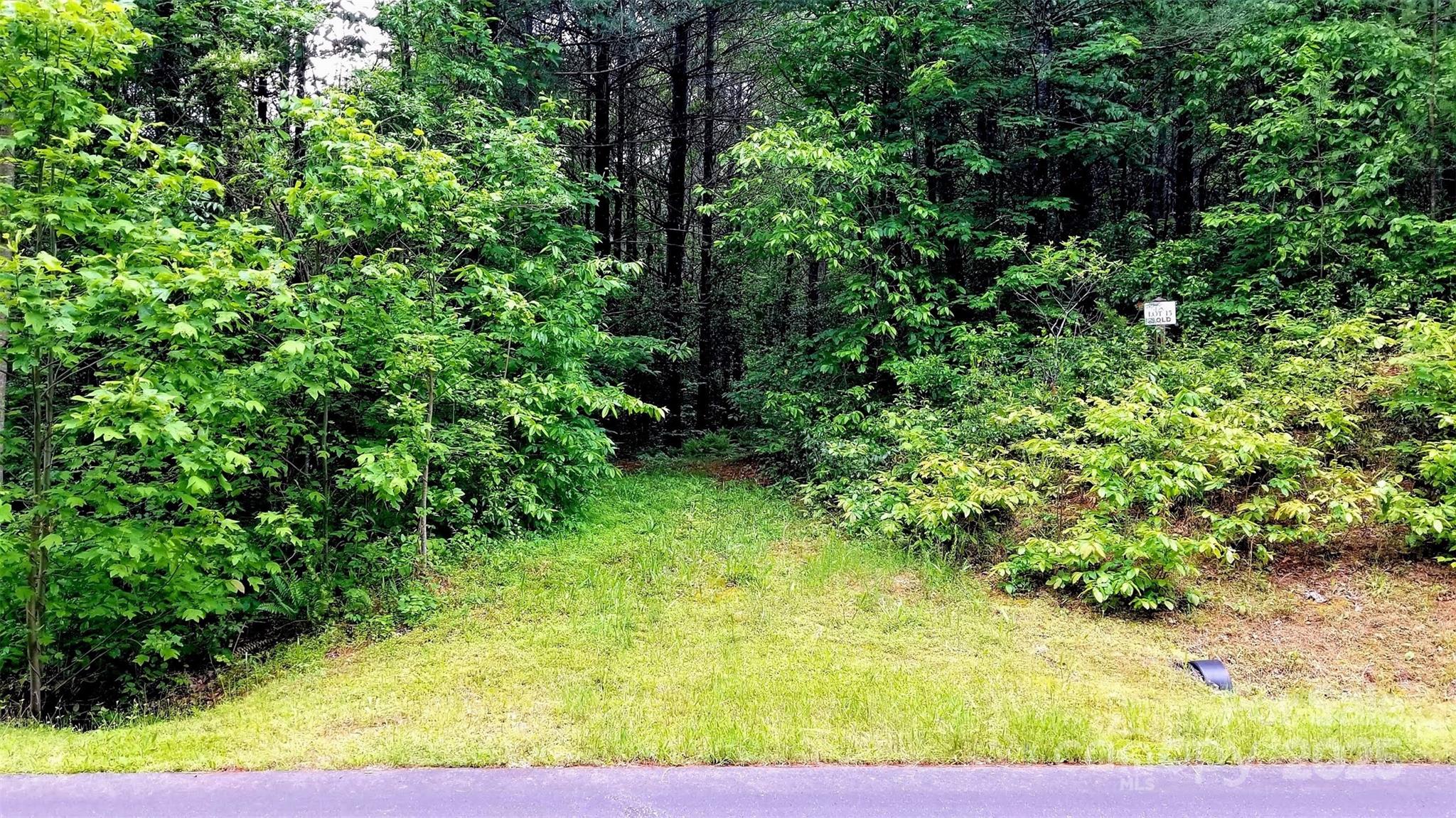 4.6 Acre Lot 15 Narrow Gauge Drive Property Photo 1