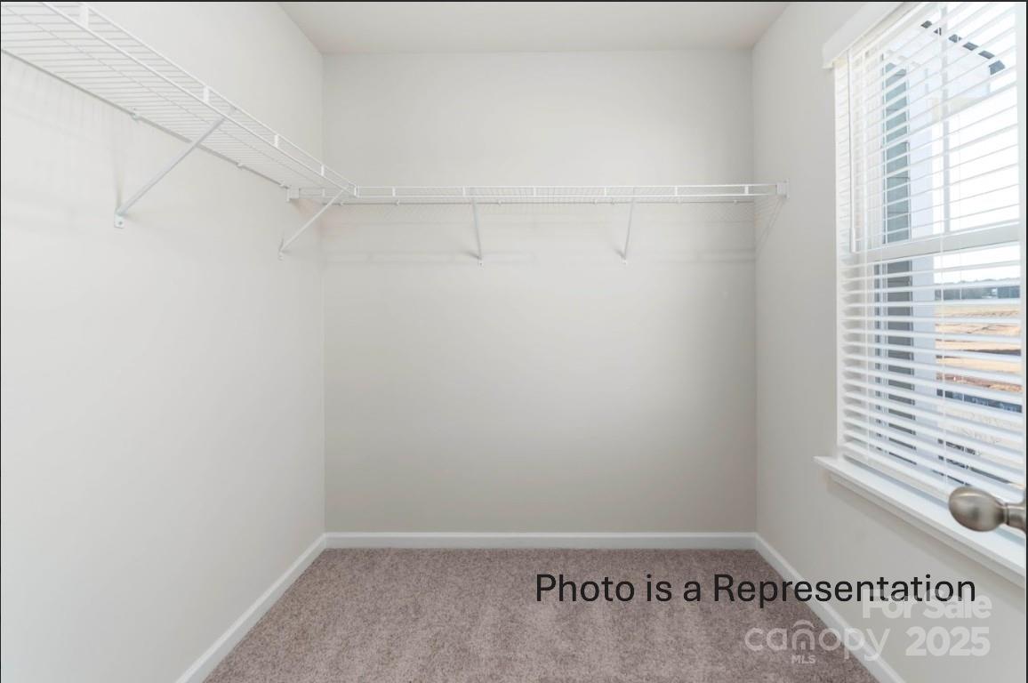 4135 Mt. Mitchell Avenue 502 Property Photo 13