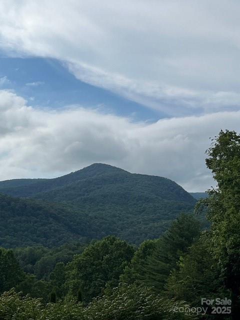 5 Old Cove Road Property Photo 1