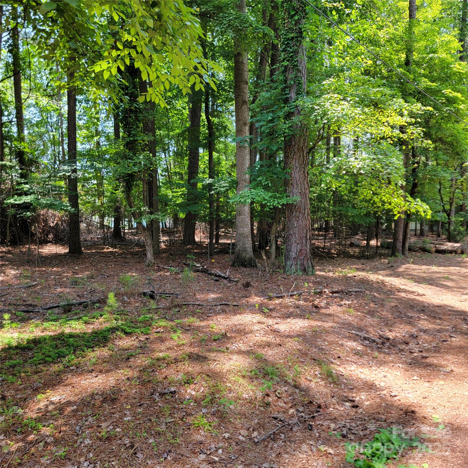419 Kemp Road Property Photo 7
