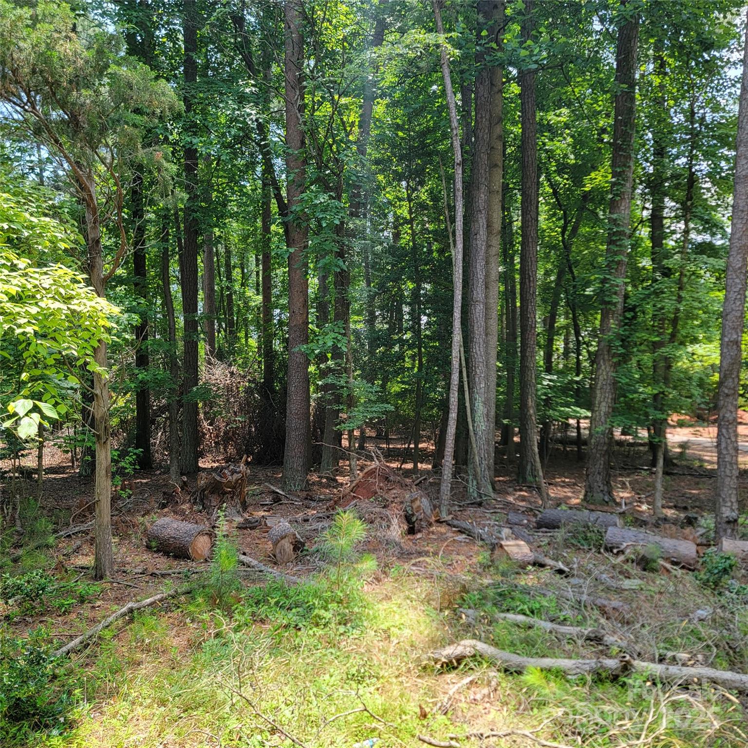 419 Kemp Road Property Photo 8