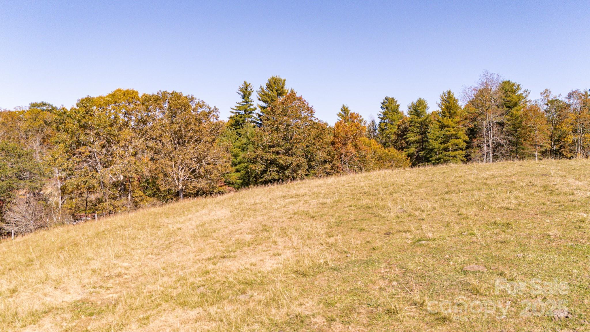 318 Monticello Road Property Photo 4