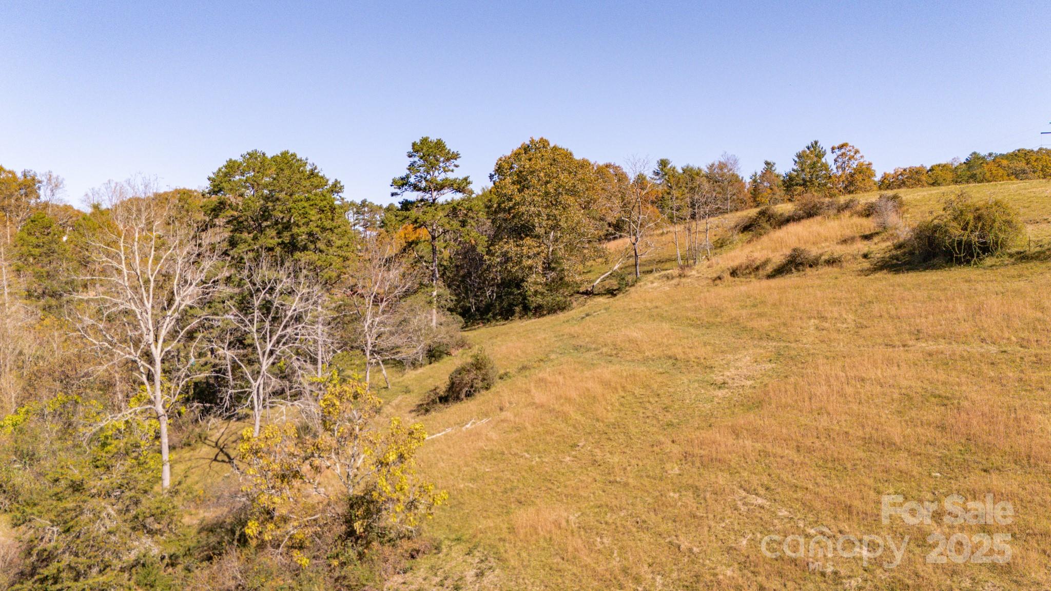 318 Monticello Road Property Photo 5
