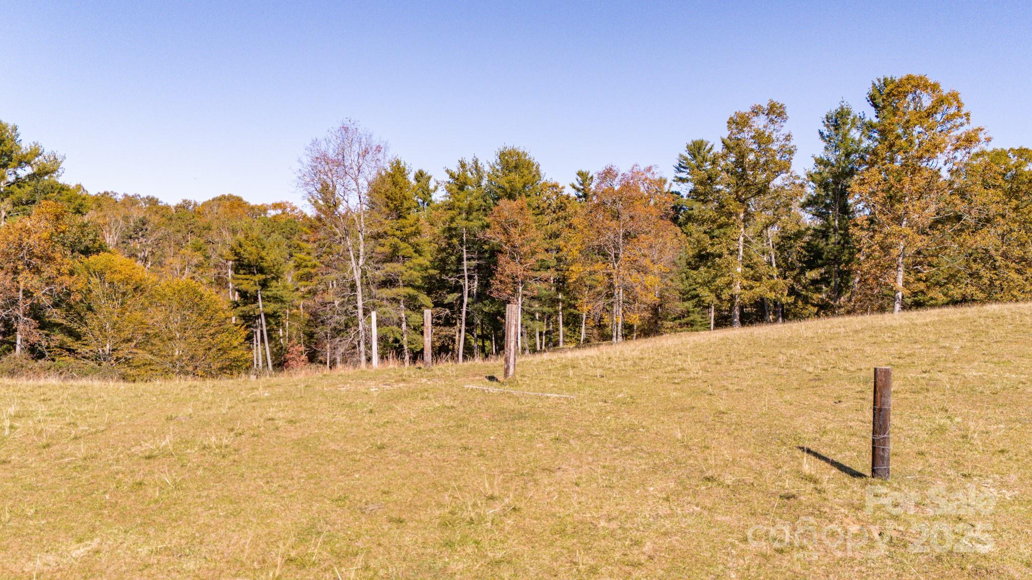 318 Monticello Road Property Photo 6