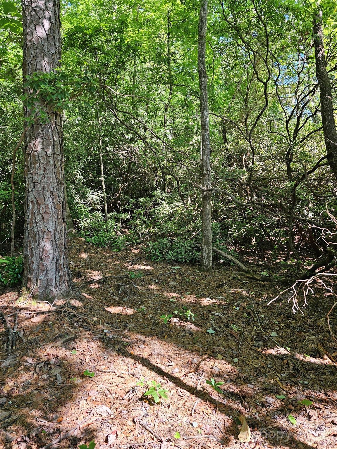 101 Arbor View Drive Property Photo 4