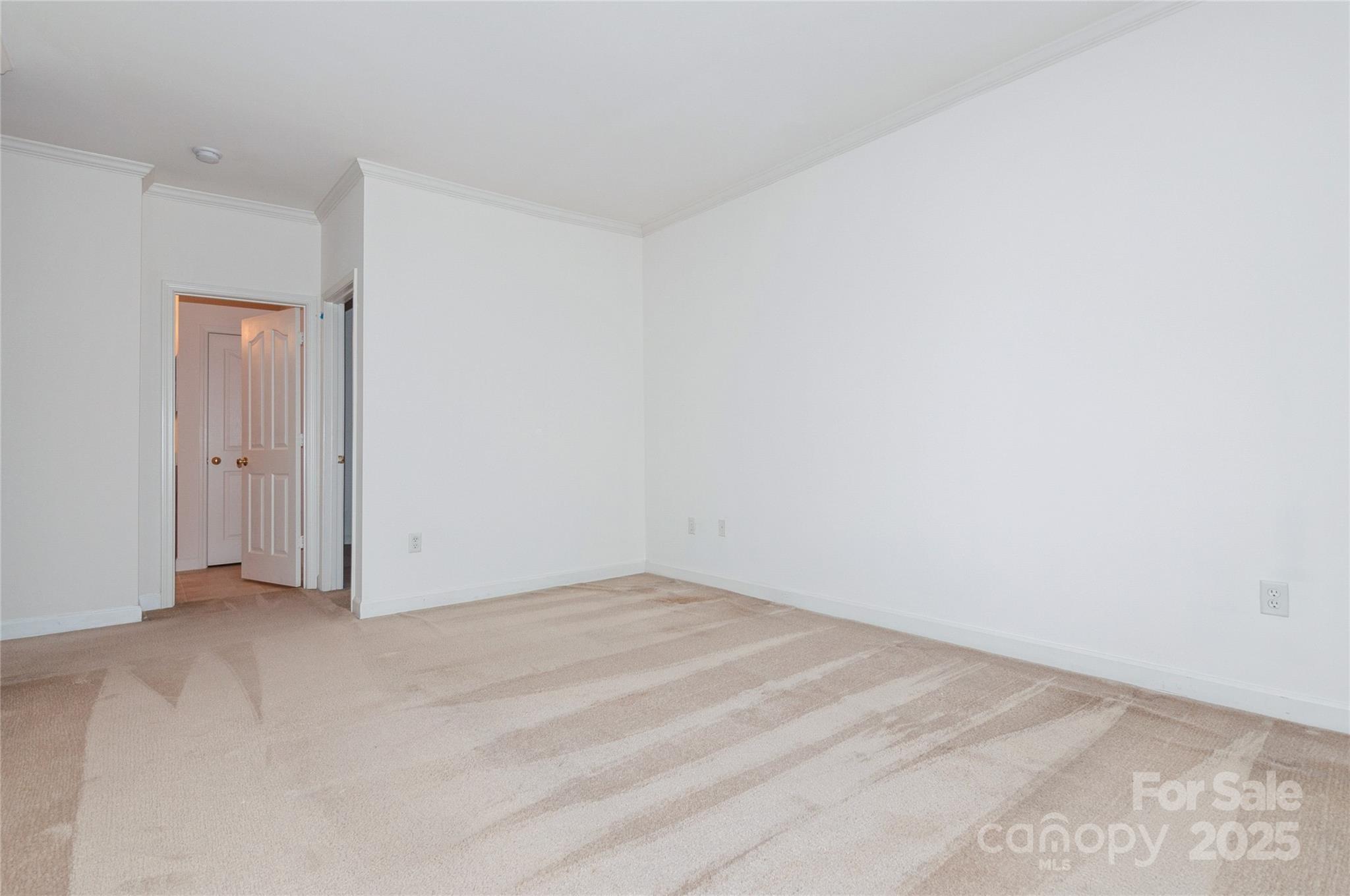 11863 Ridgeway Park Drive Property Photo 16