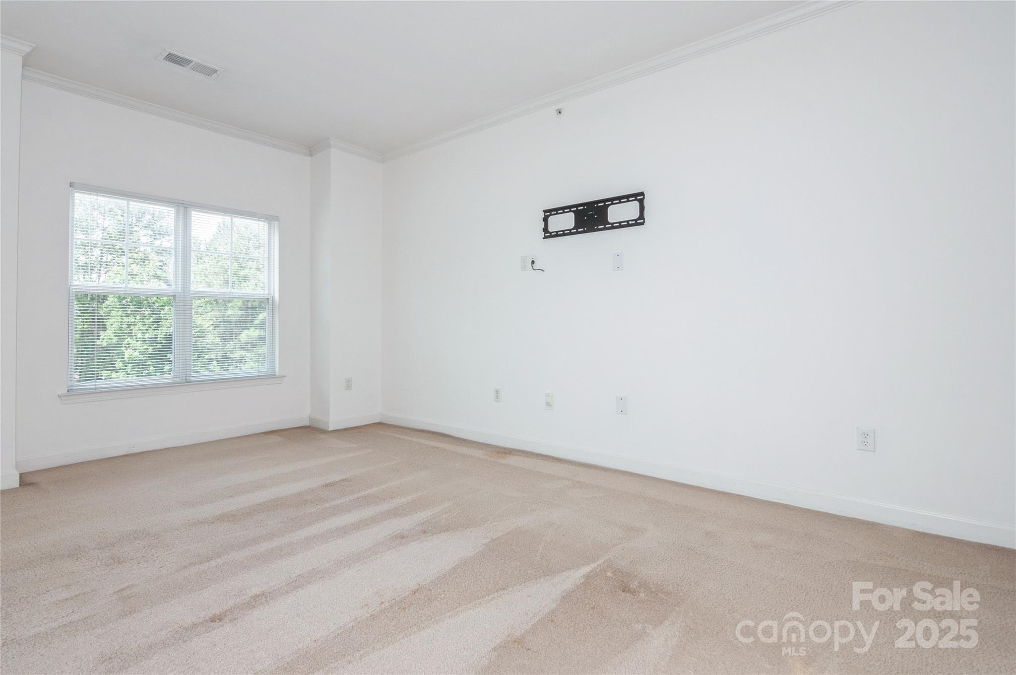 11863 Ridgeway Park Drive Property Photo 17