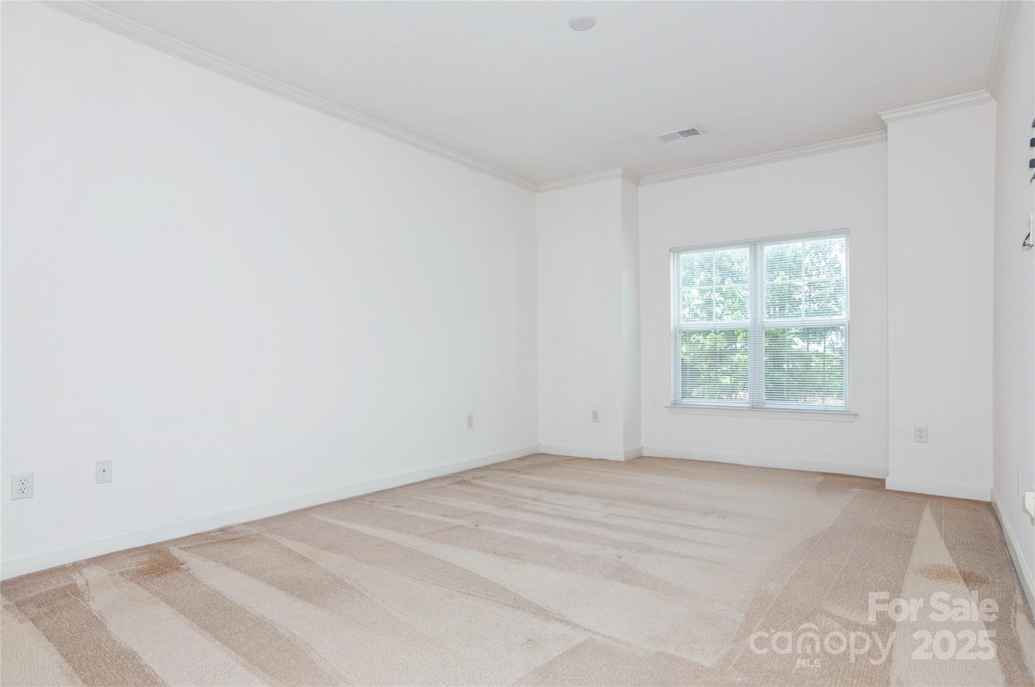 11863 Ridgeway Park Drive Property Photo 18
