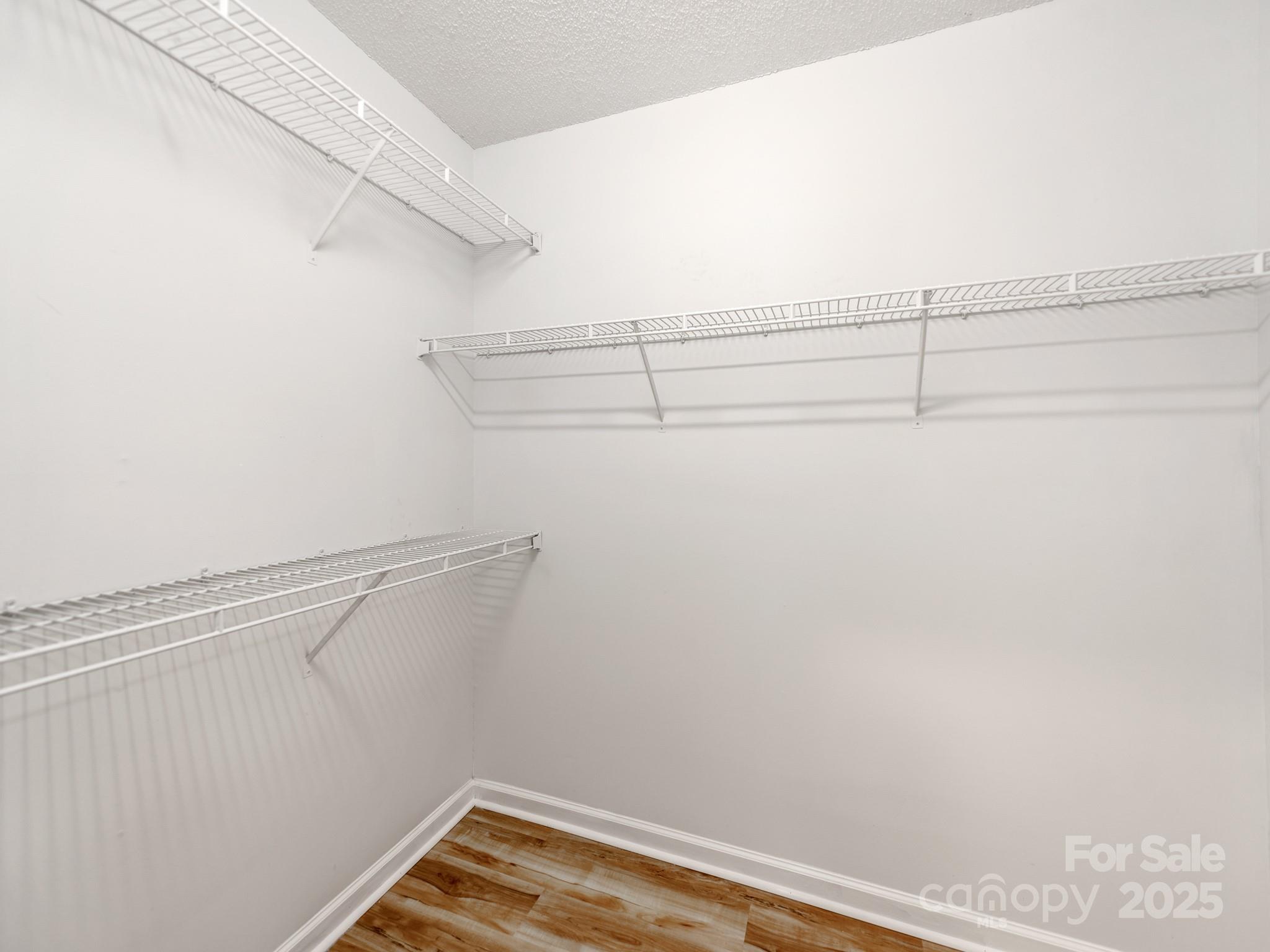 10736 Spruce Mountain Road Property Photo 16
