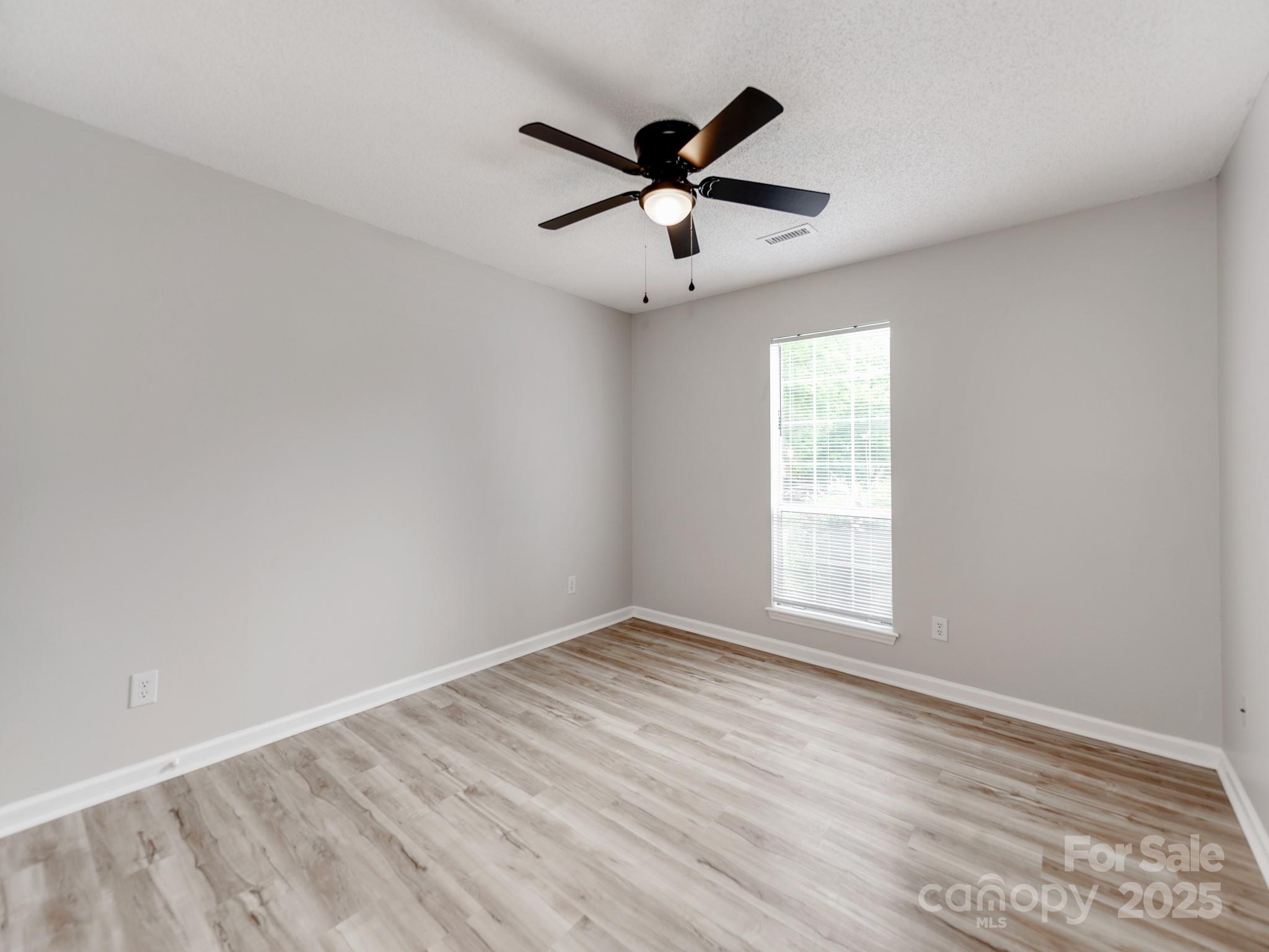 10736 Spruce Mountain Road Property Photo 19